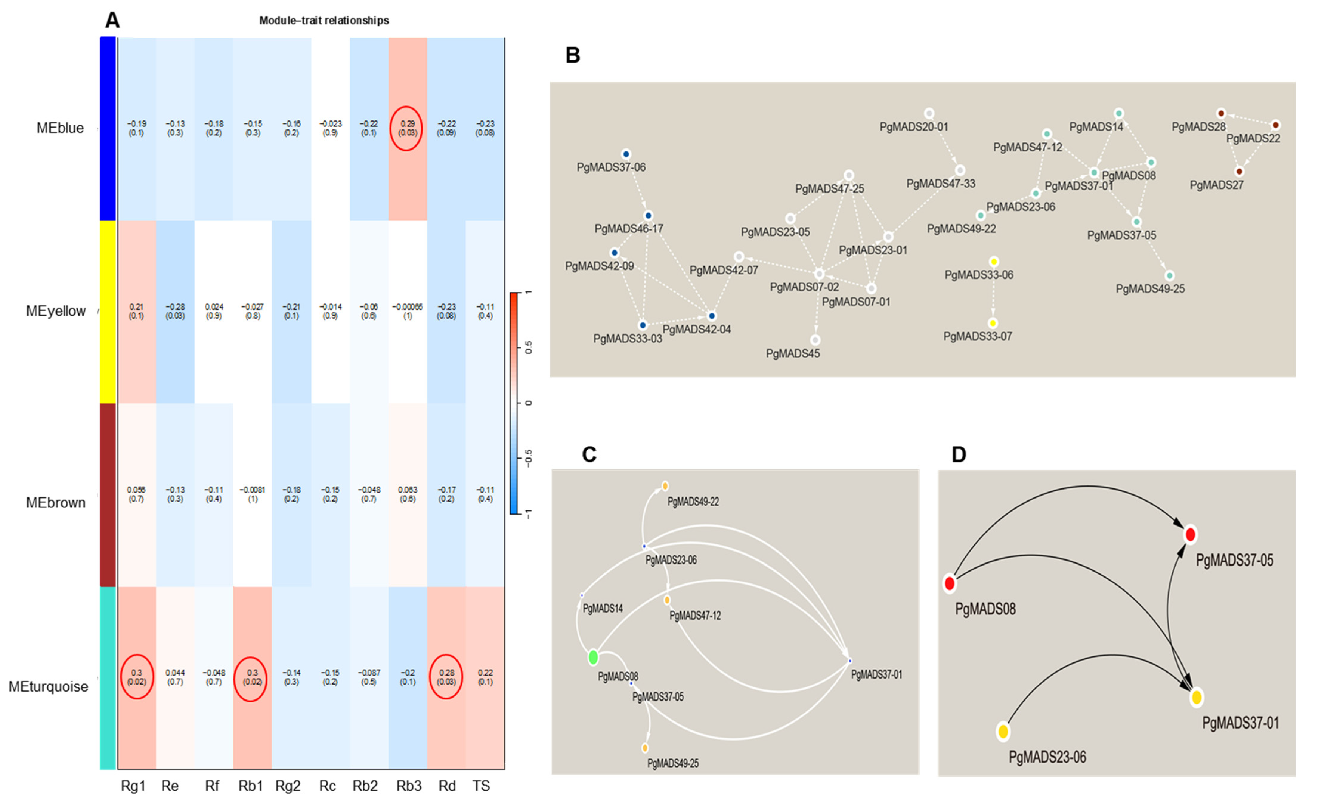 Plants 13 03574 g006
