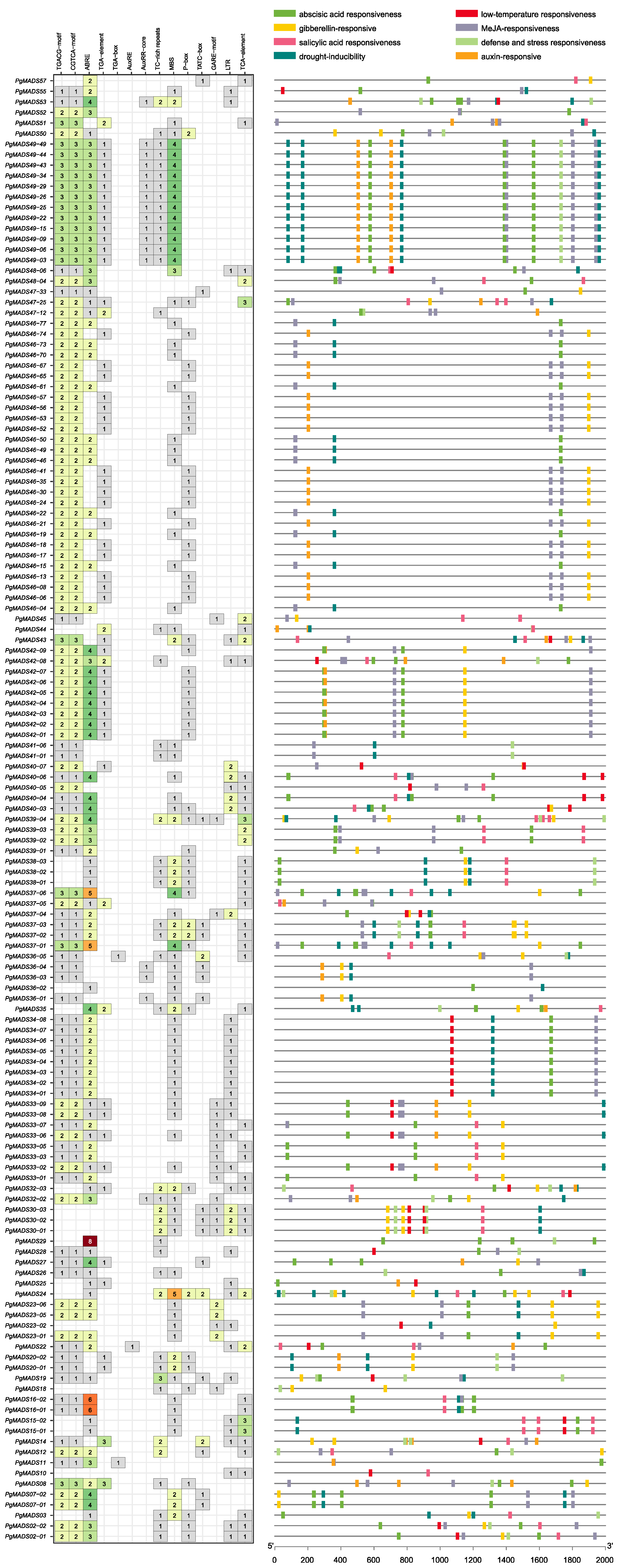 Plants 13 03574 g007