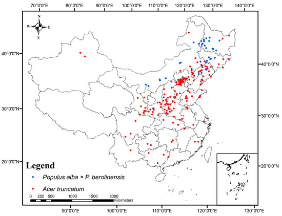 Plants 13 03575 g0a1
