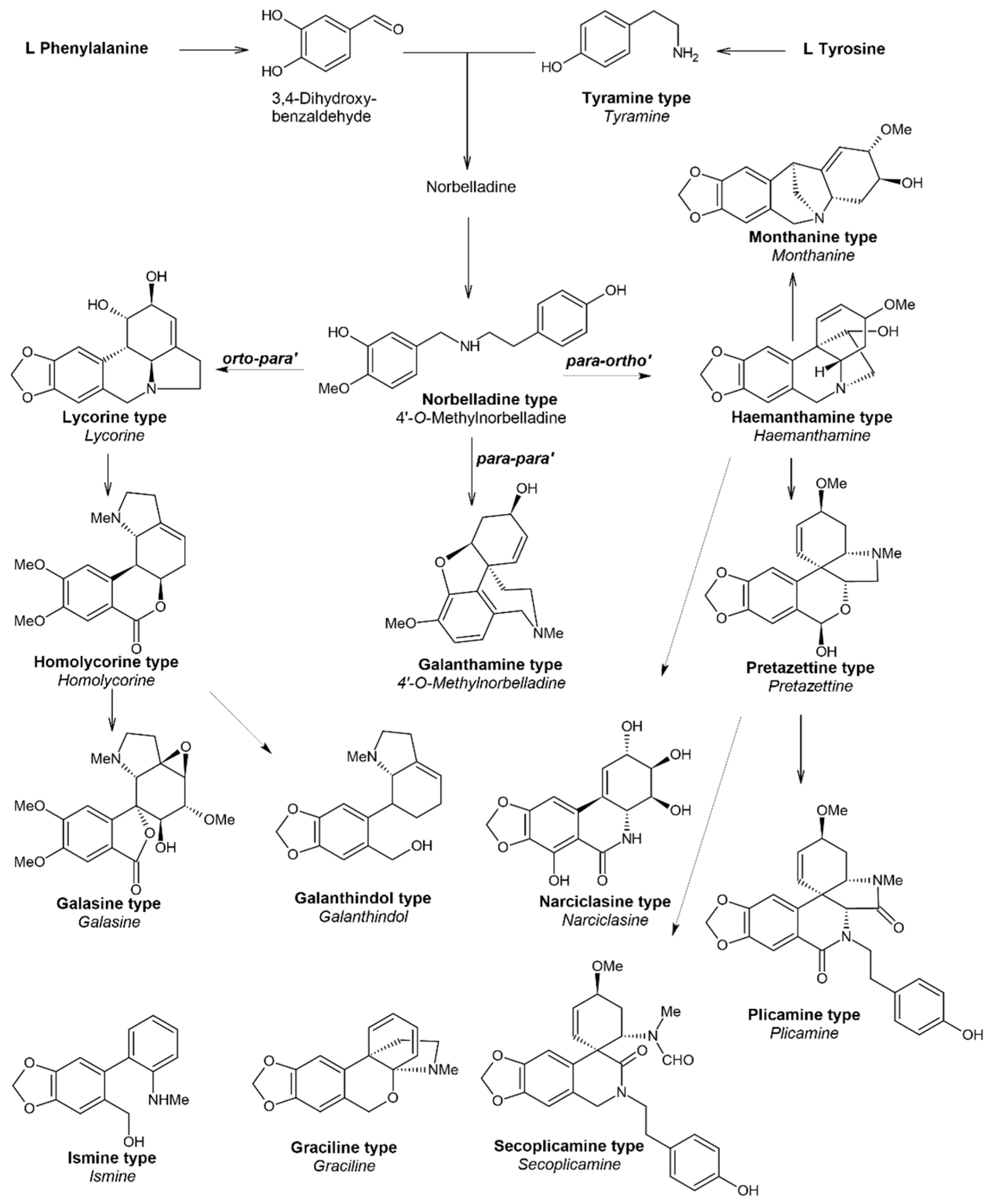 Plants 13 03577 g001 Plants 13 03577 g001