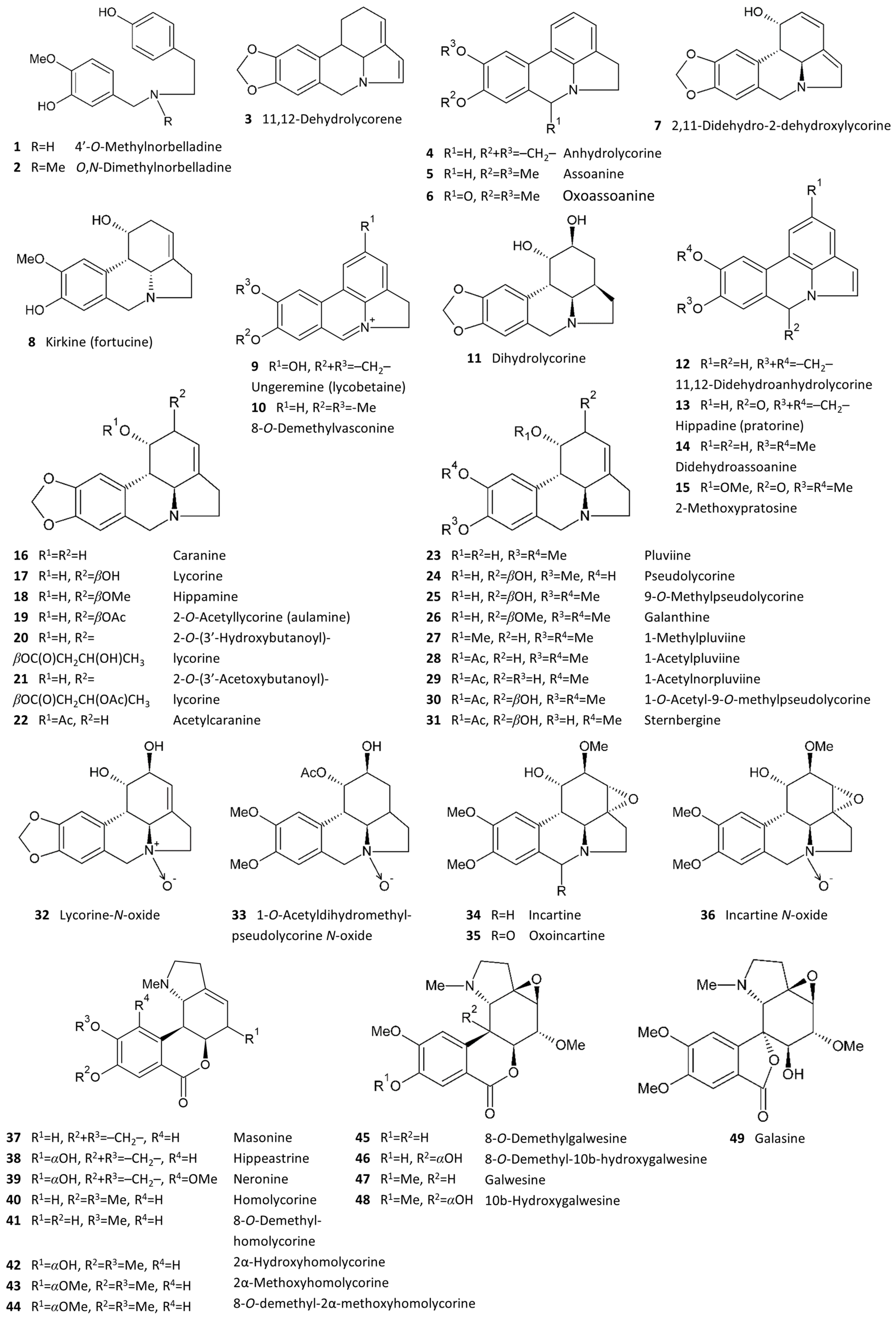 Plants 13 03577 g003a Plants 13 03577 g003a