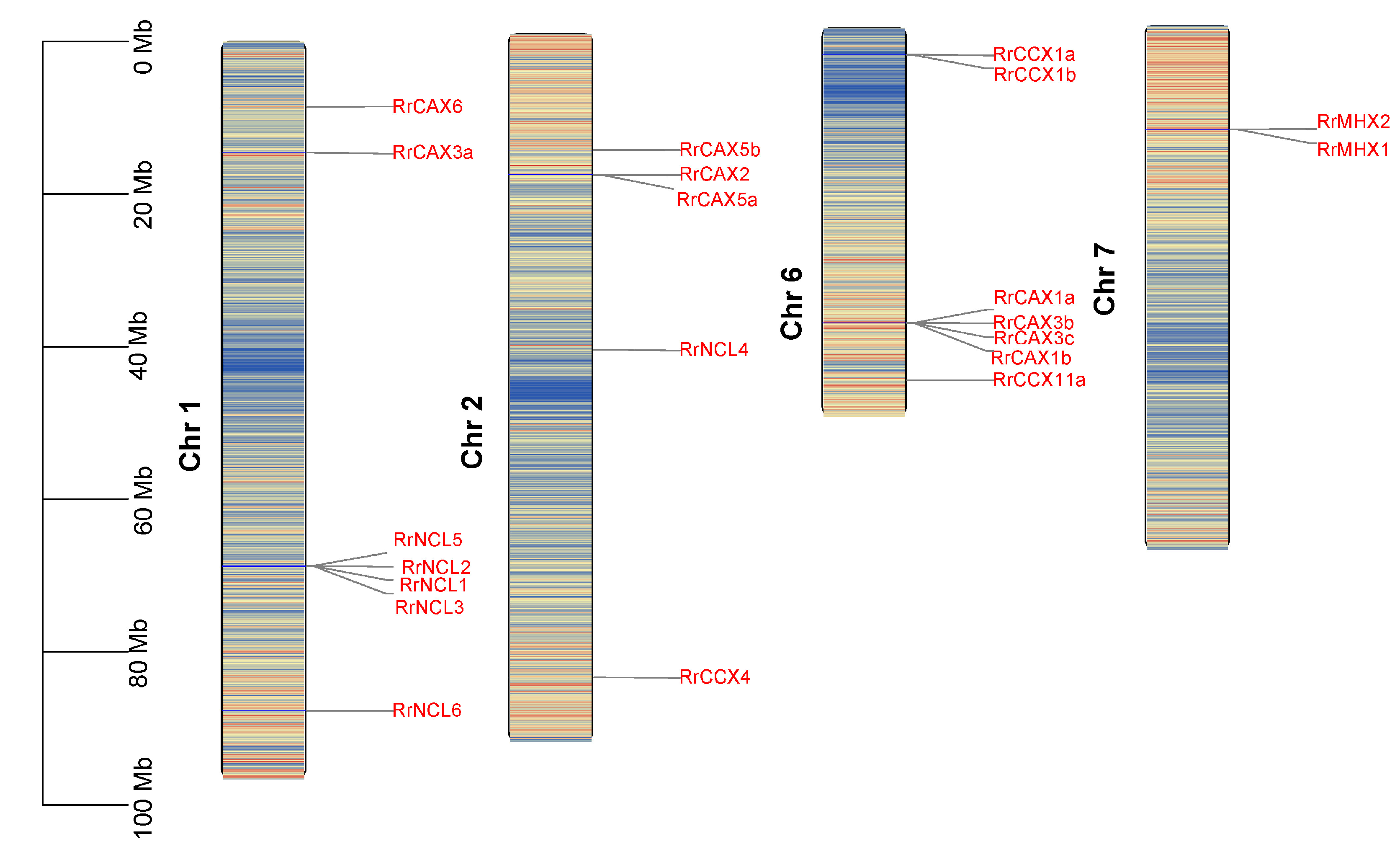 Plants 13 03582 g002