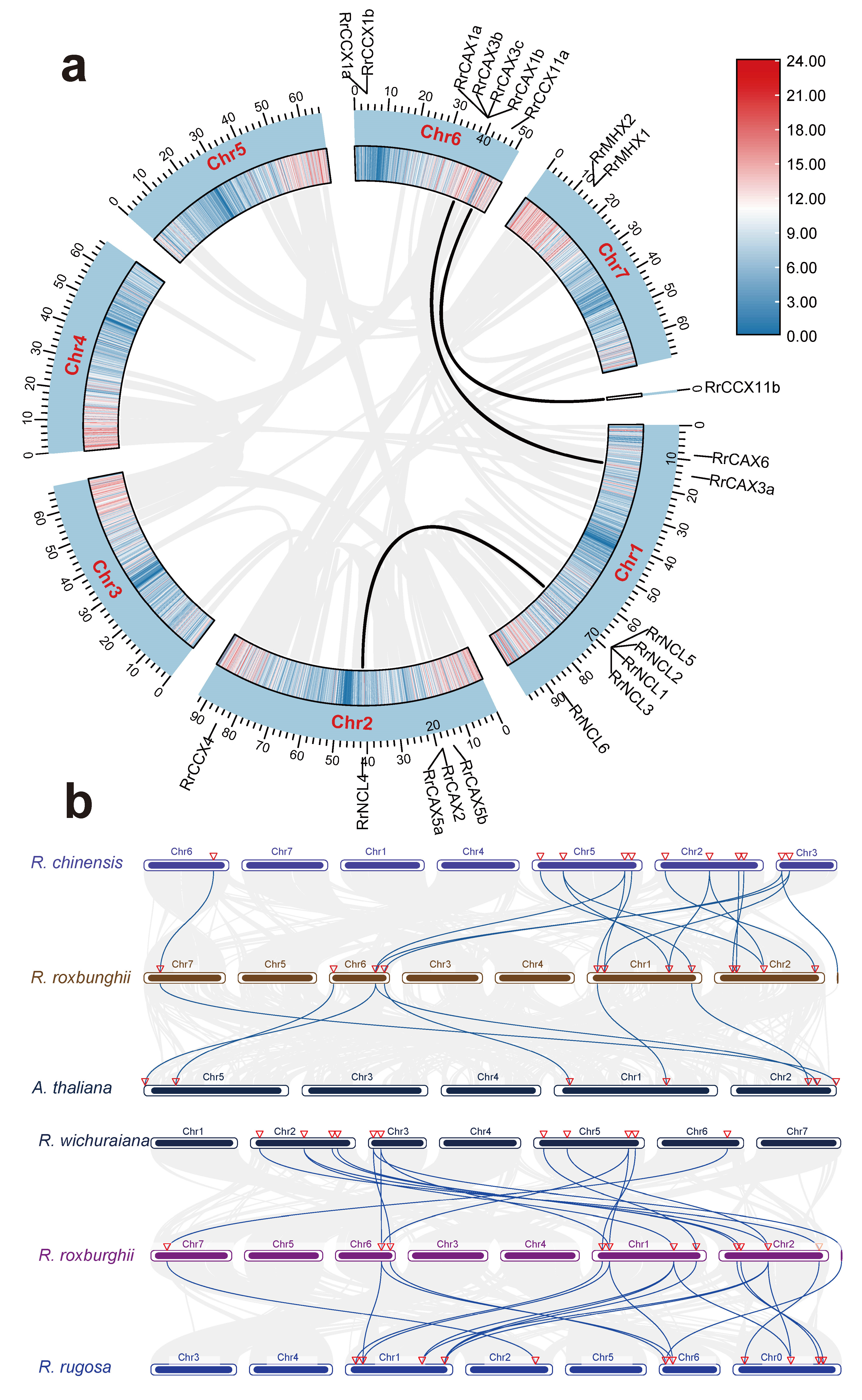 Plants 13 03582 g004
