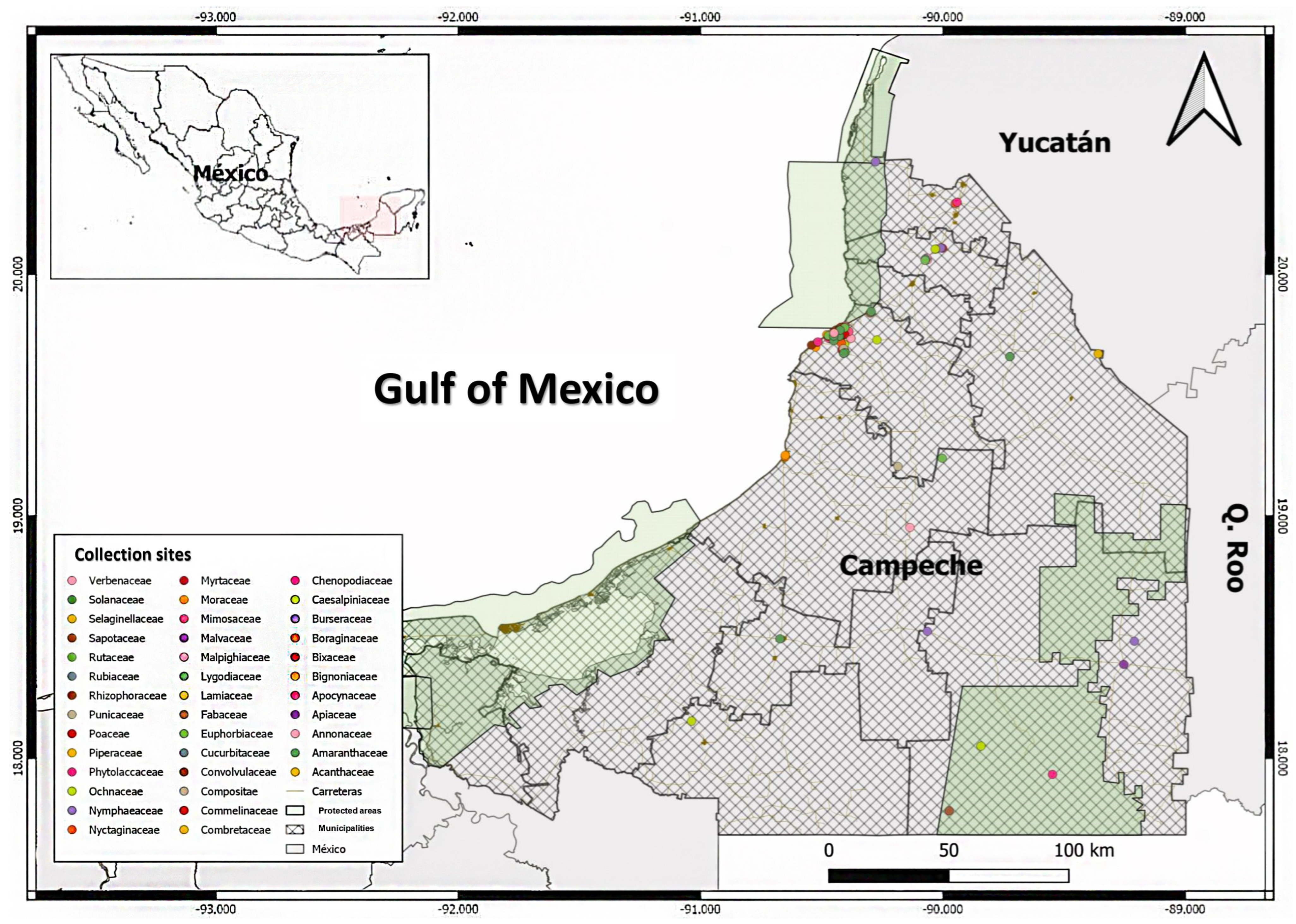 Plants 13 03583 g001