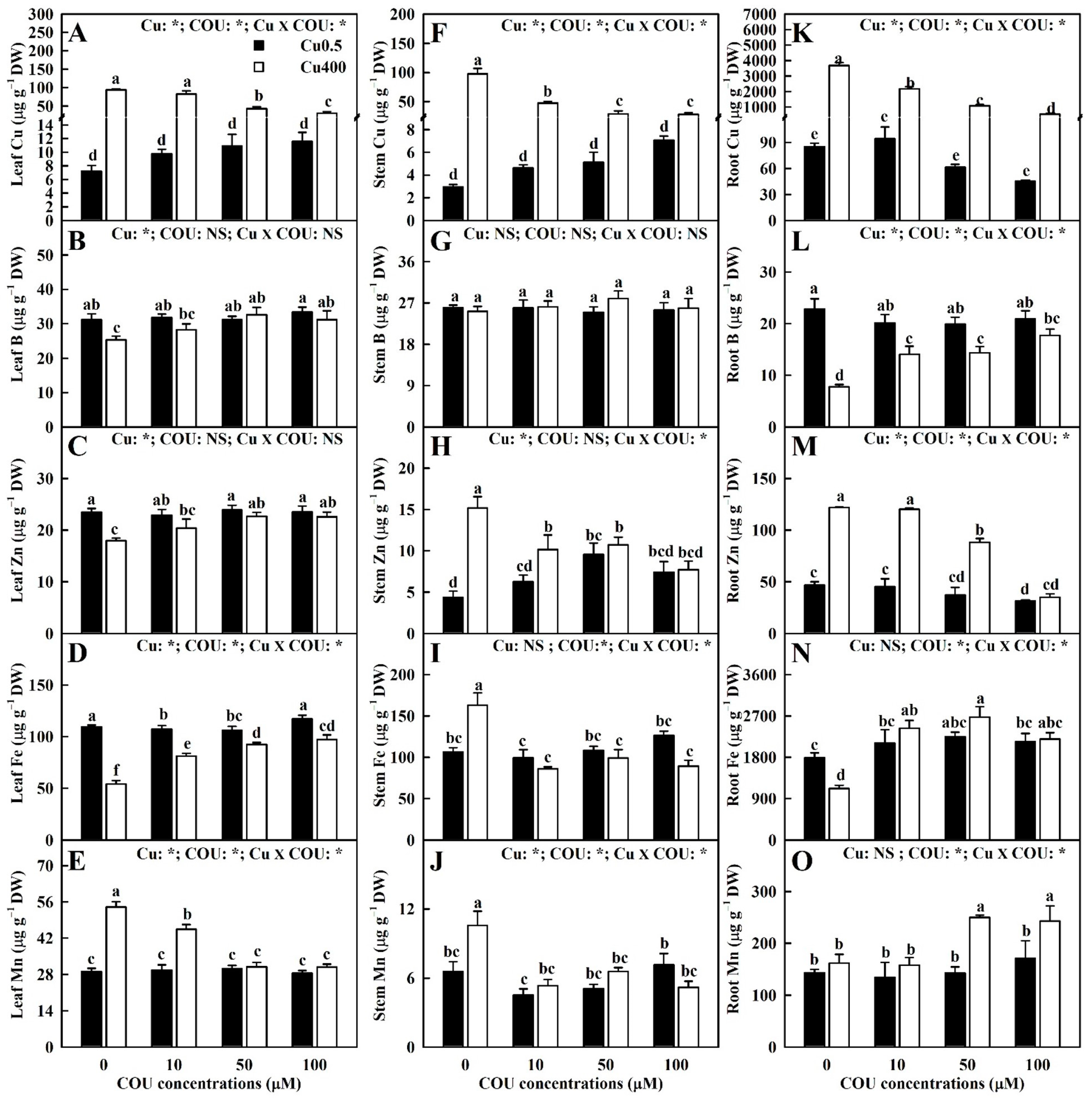 Plants 13 03584 g002