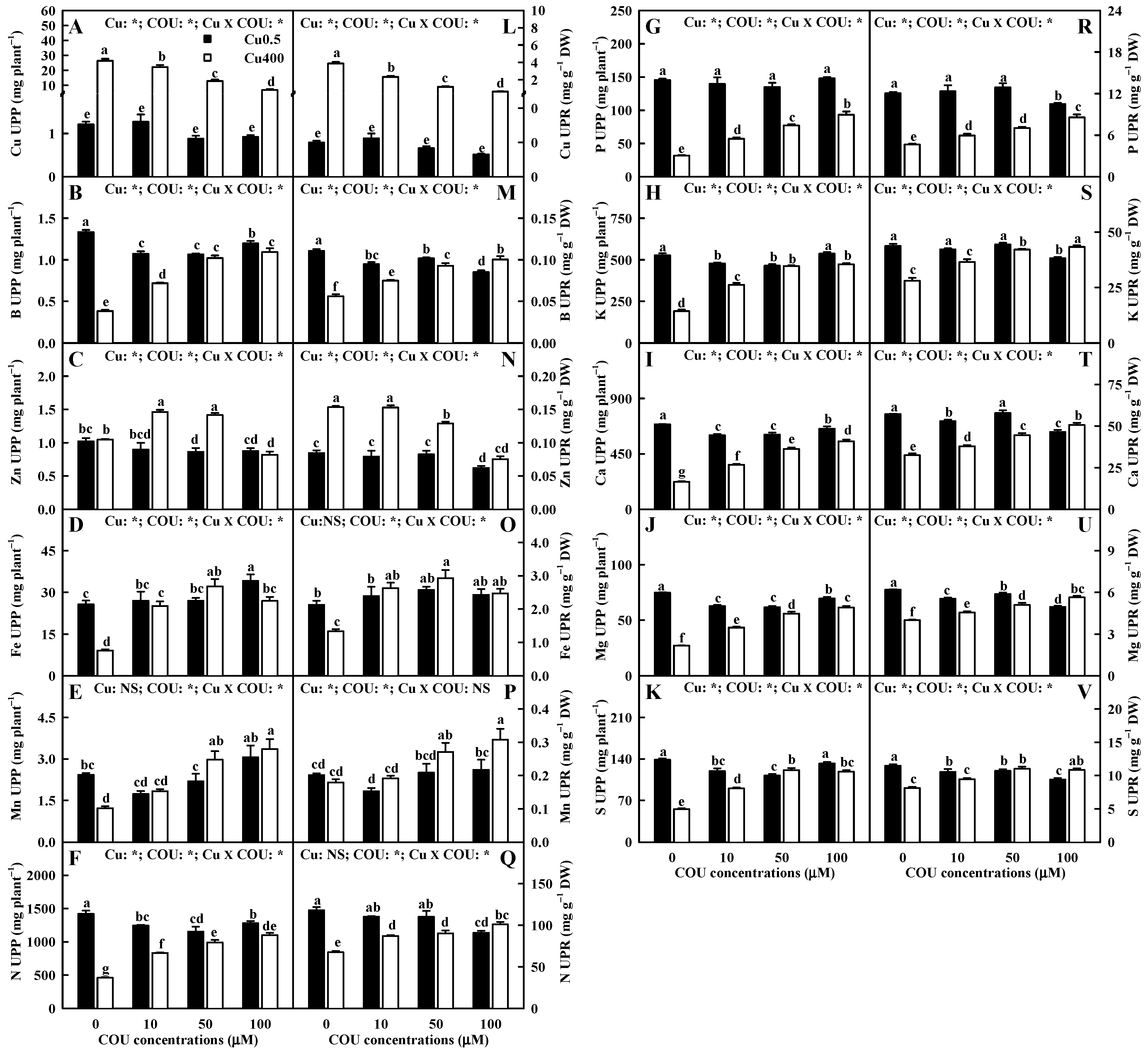 Plants 13 03584 g004