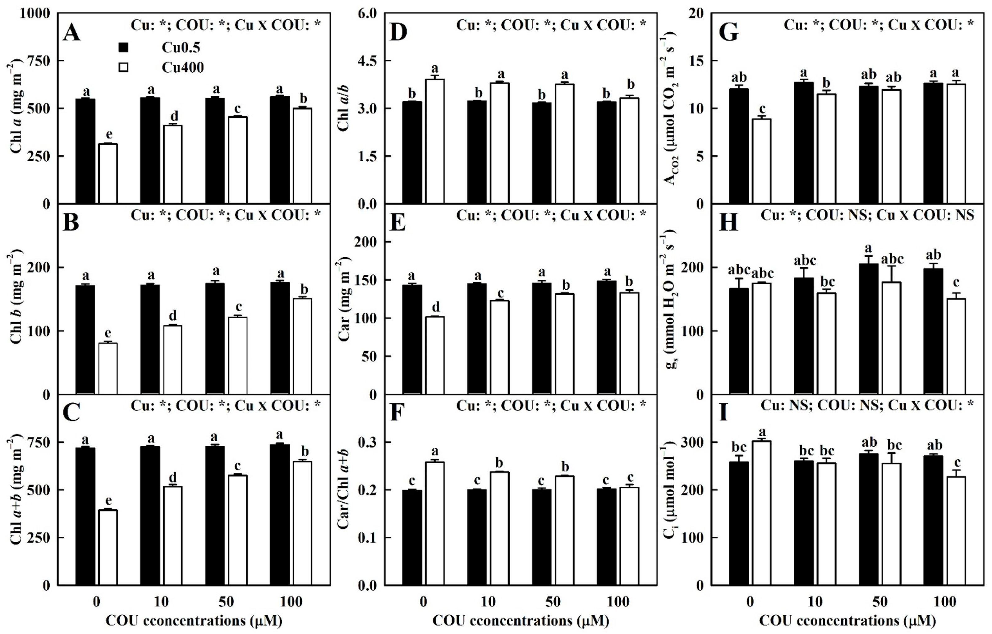 Plants 13 03584 g006