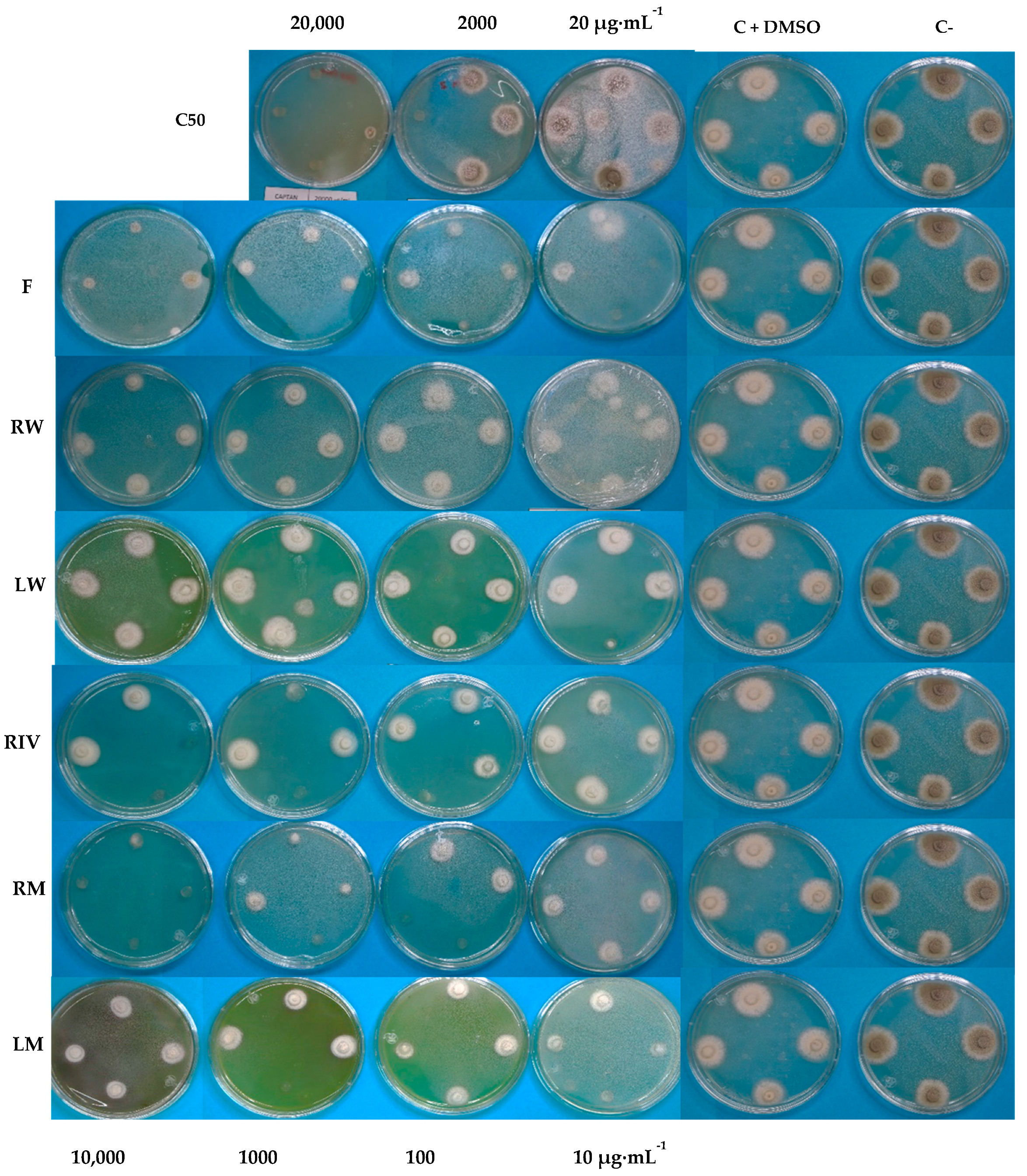 Plants 13 03586 g005