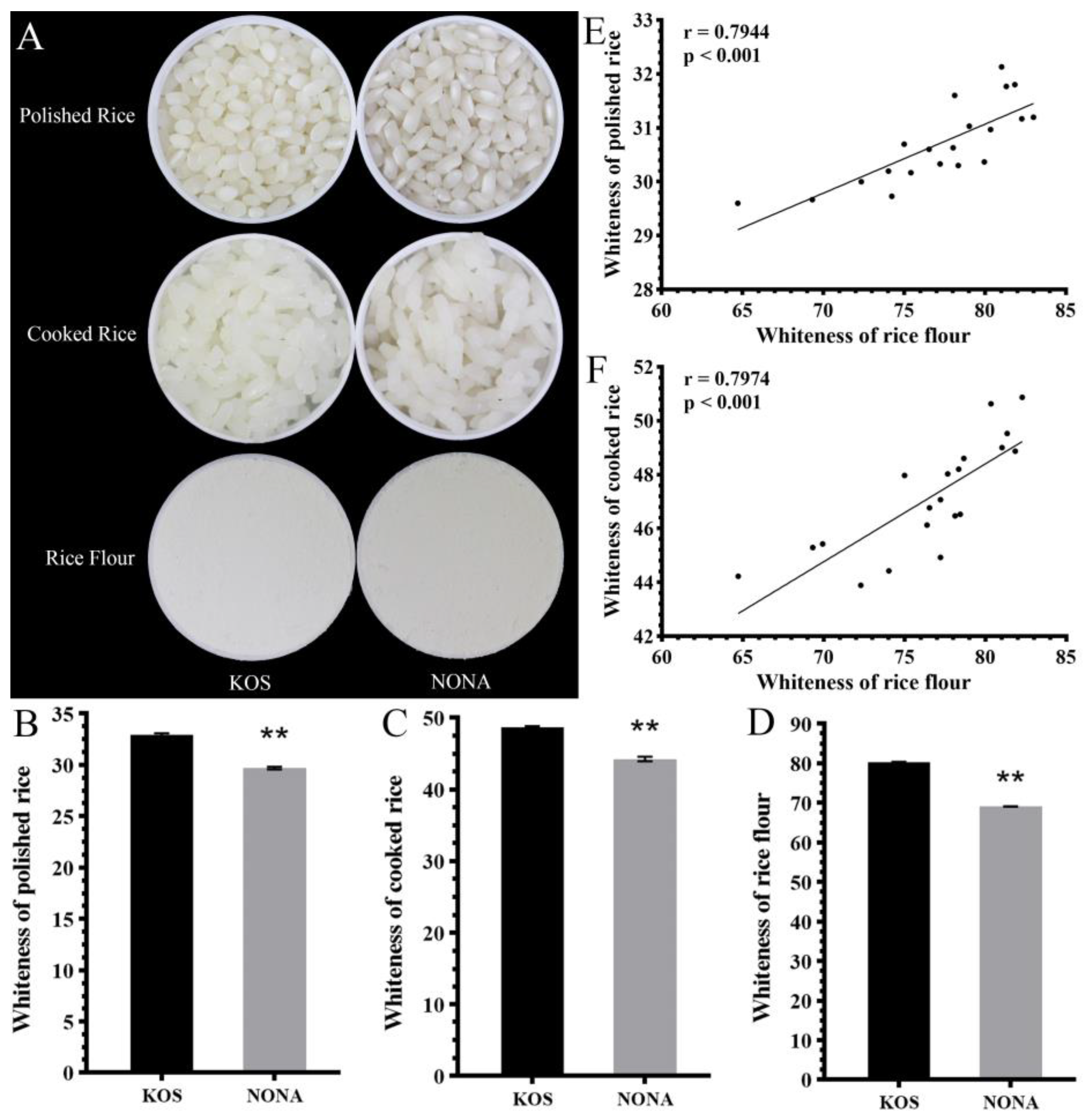 Plants 13 03588 g001