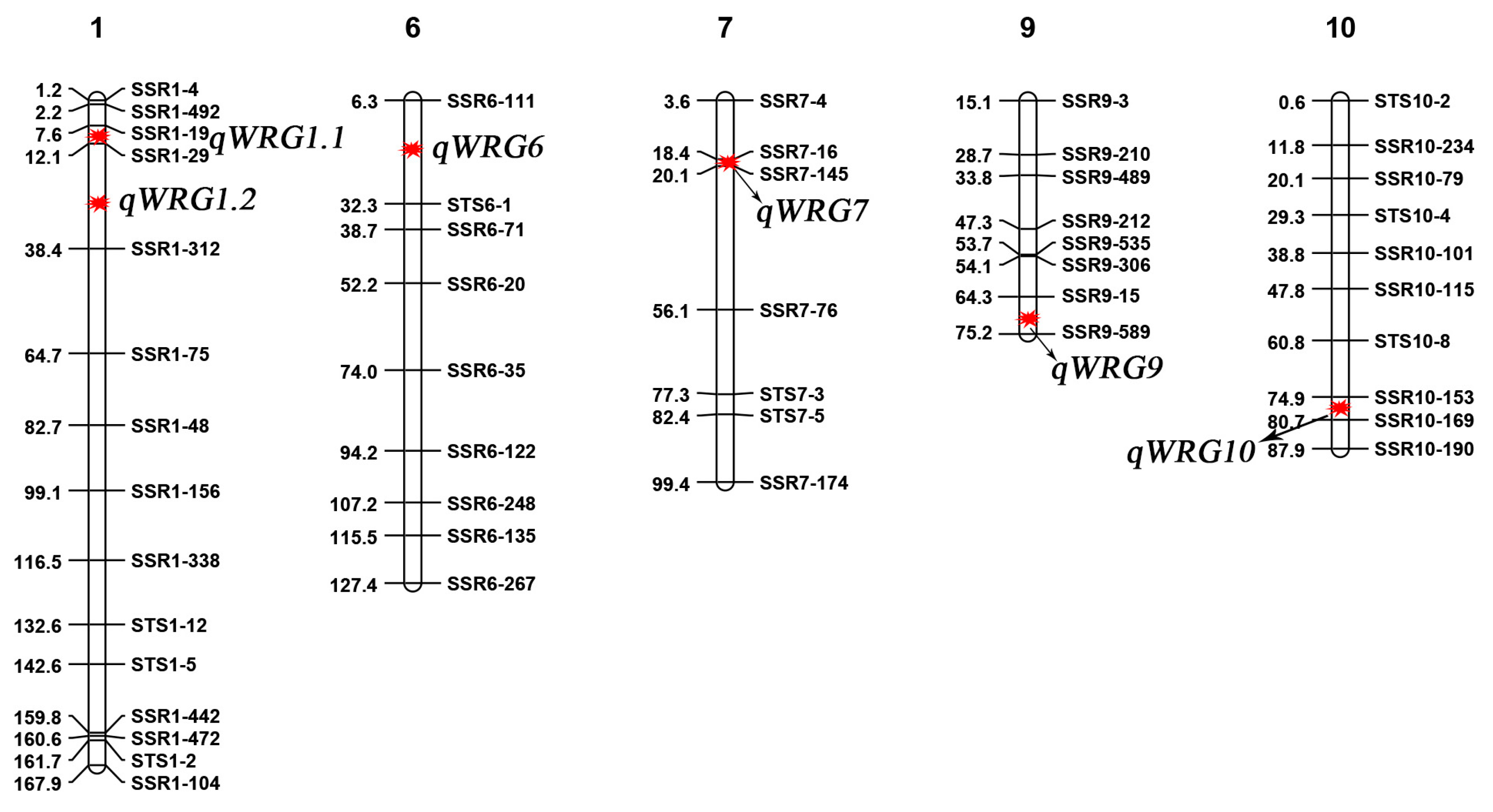 Plants 13 03588 g003