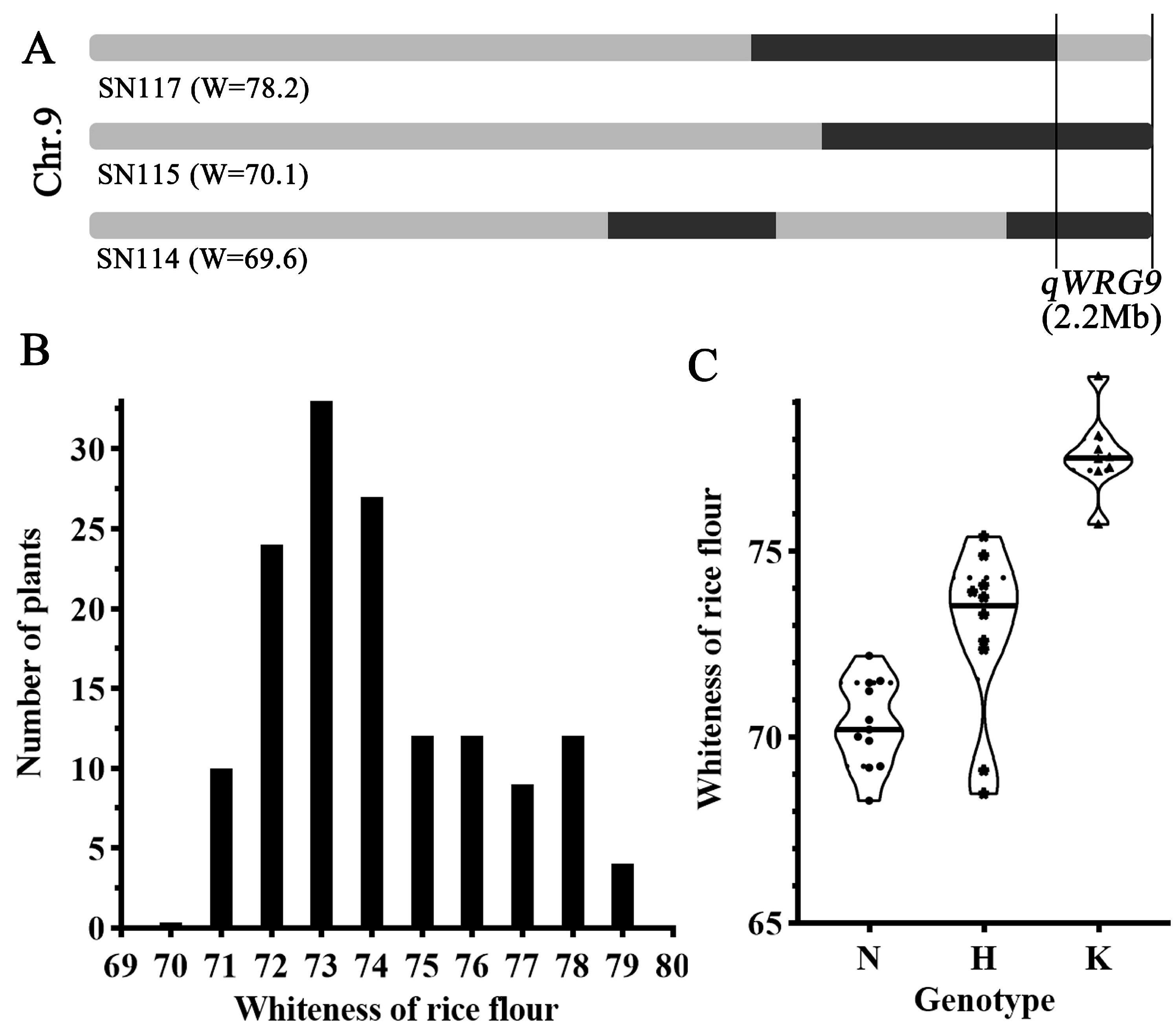 Plants 13 03588 g004