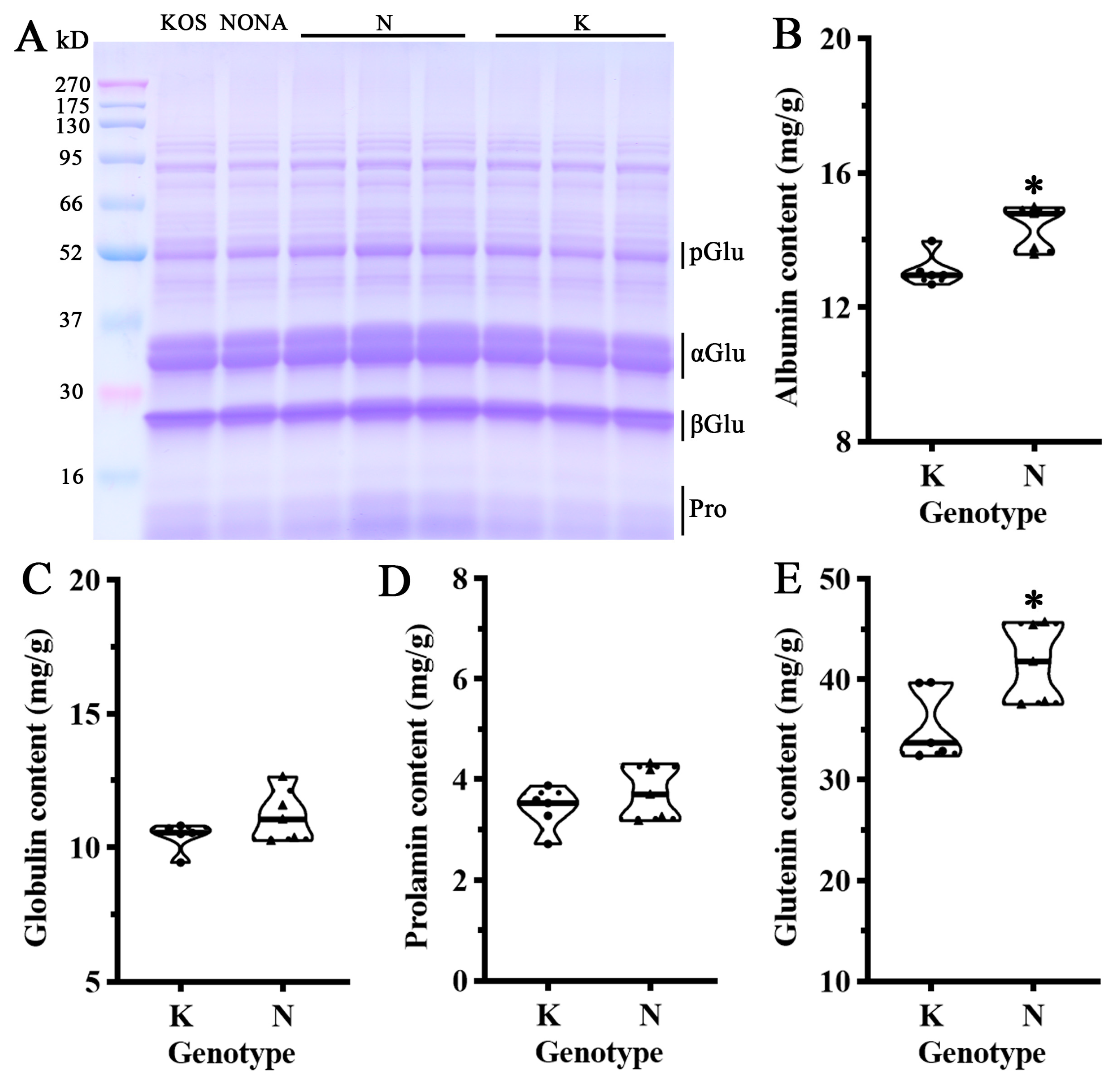 Plants 13 03588 g006