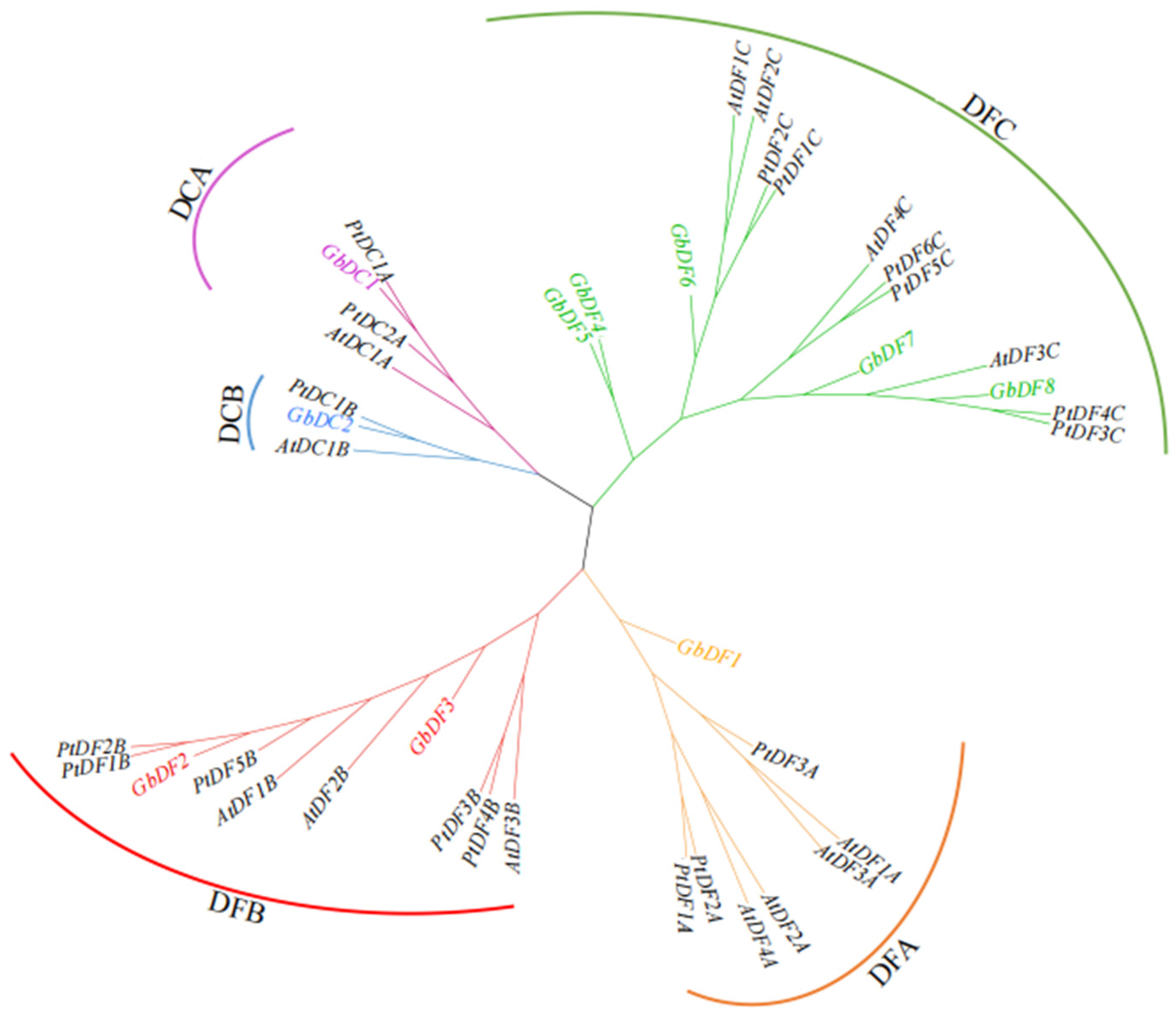 Plants 13 03589 g001