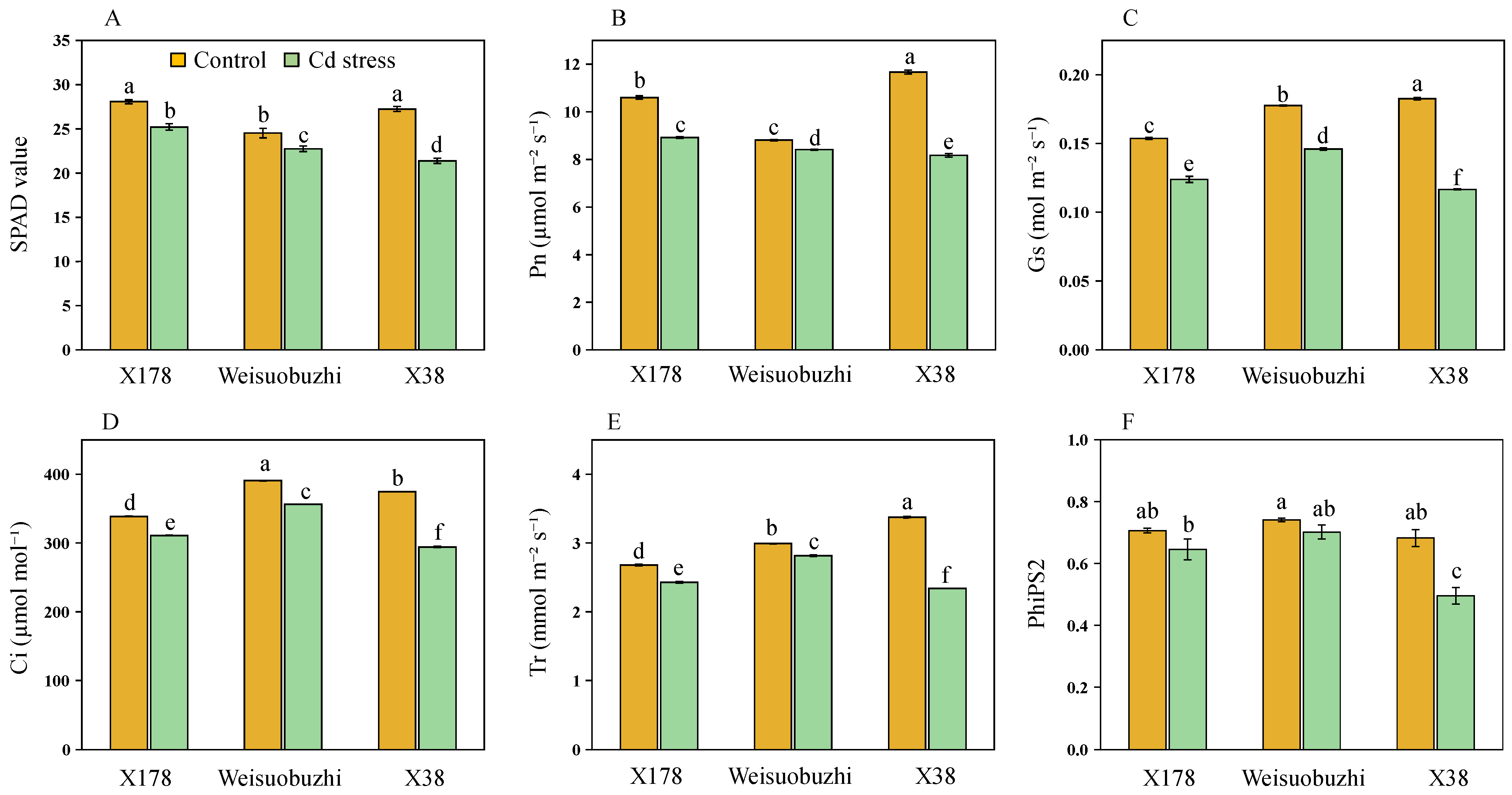 Plants 13 03593 g005