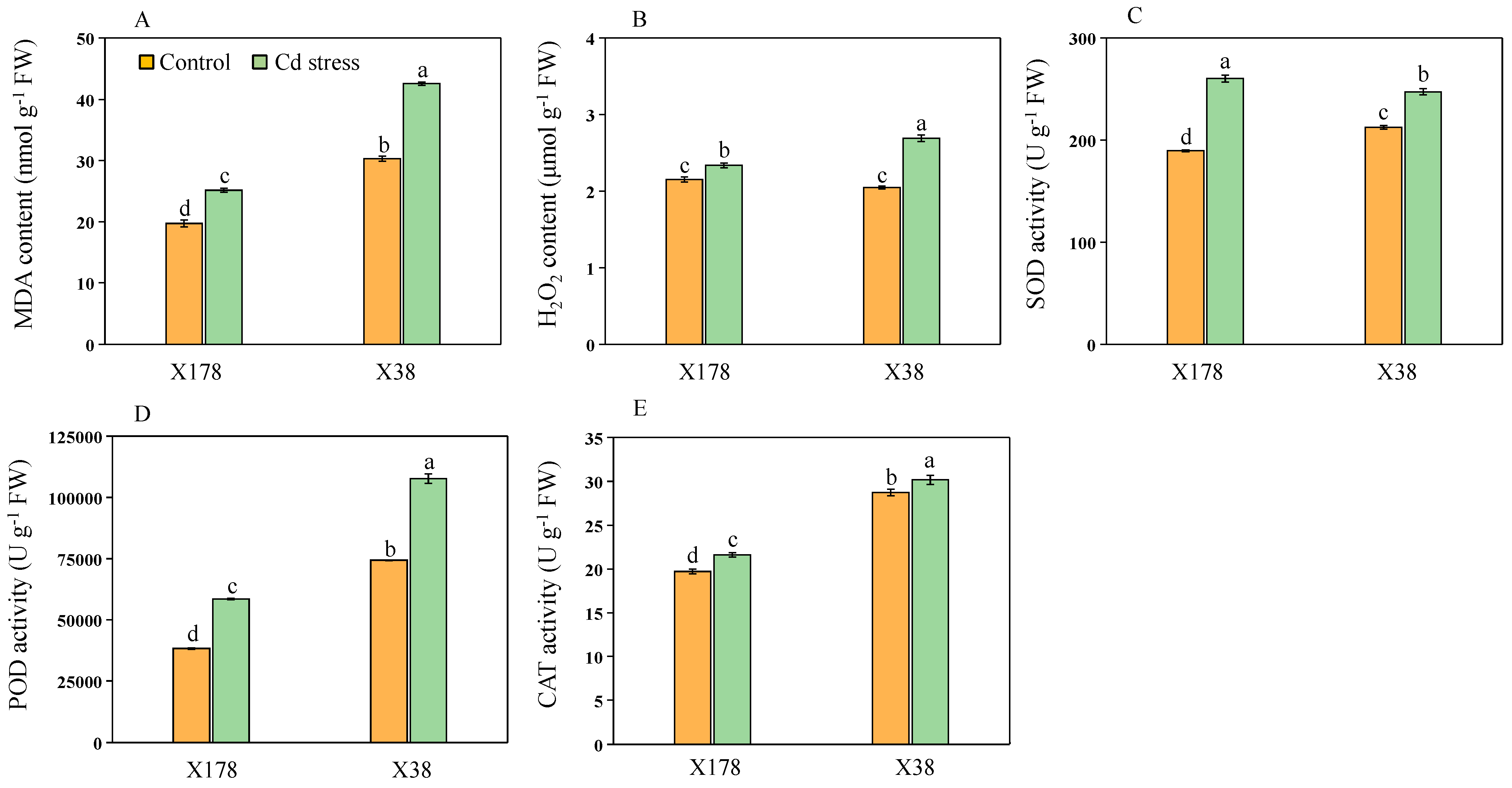 Plants 13 03593 g008