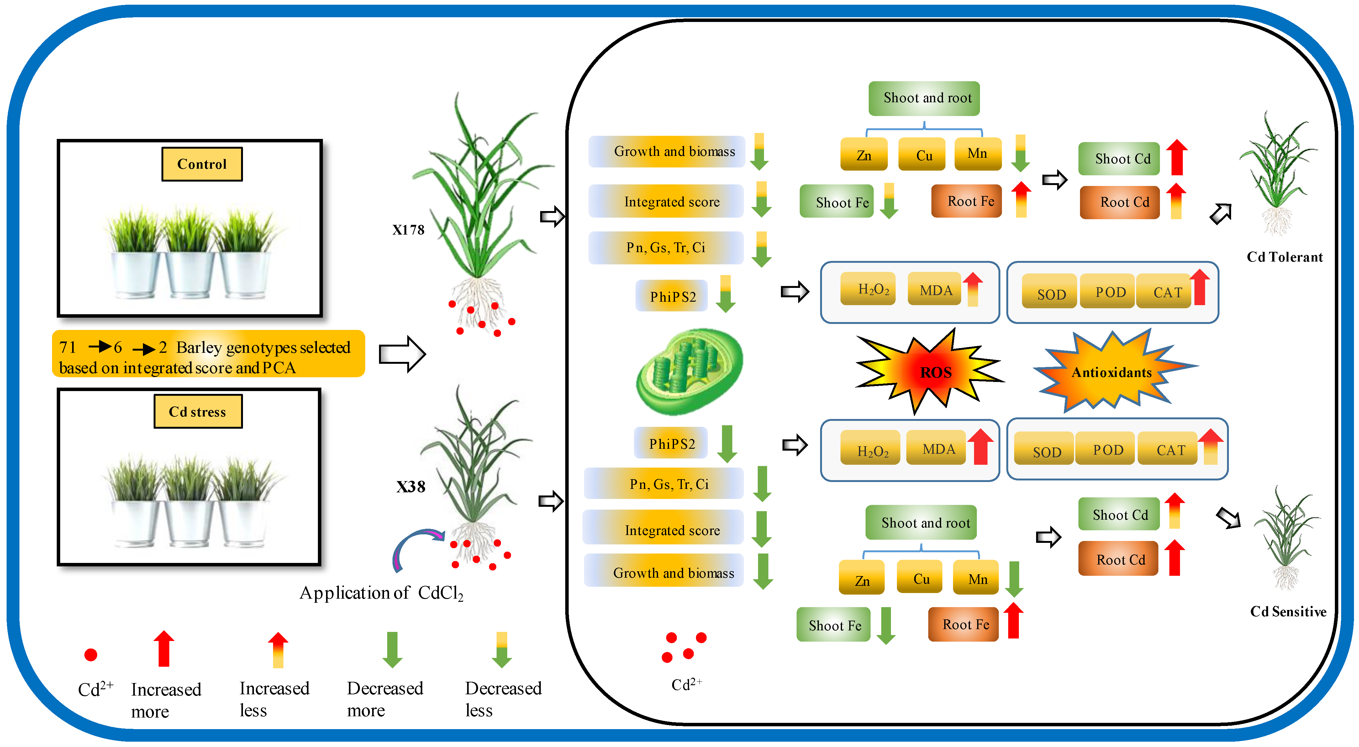 Plants 13 03593 g009