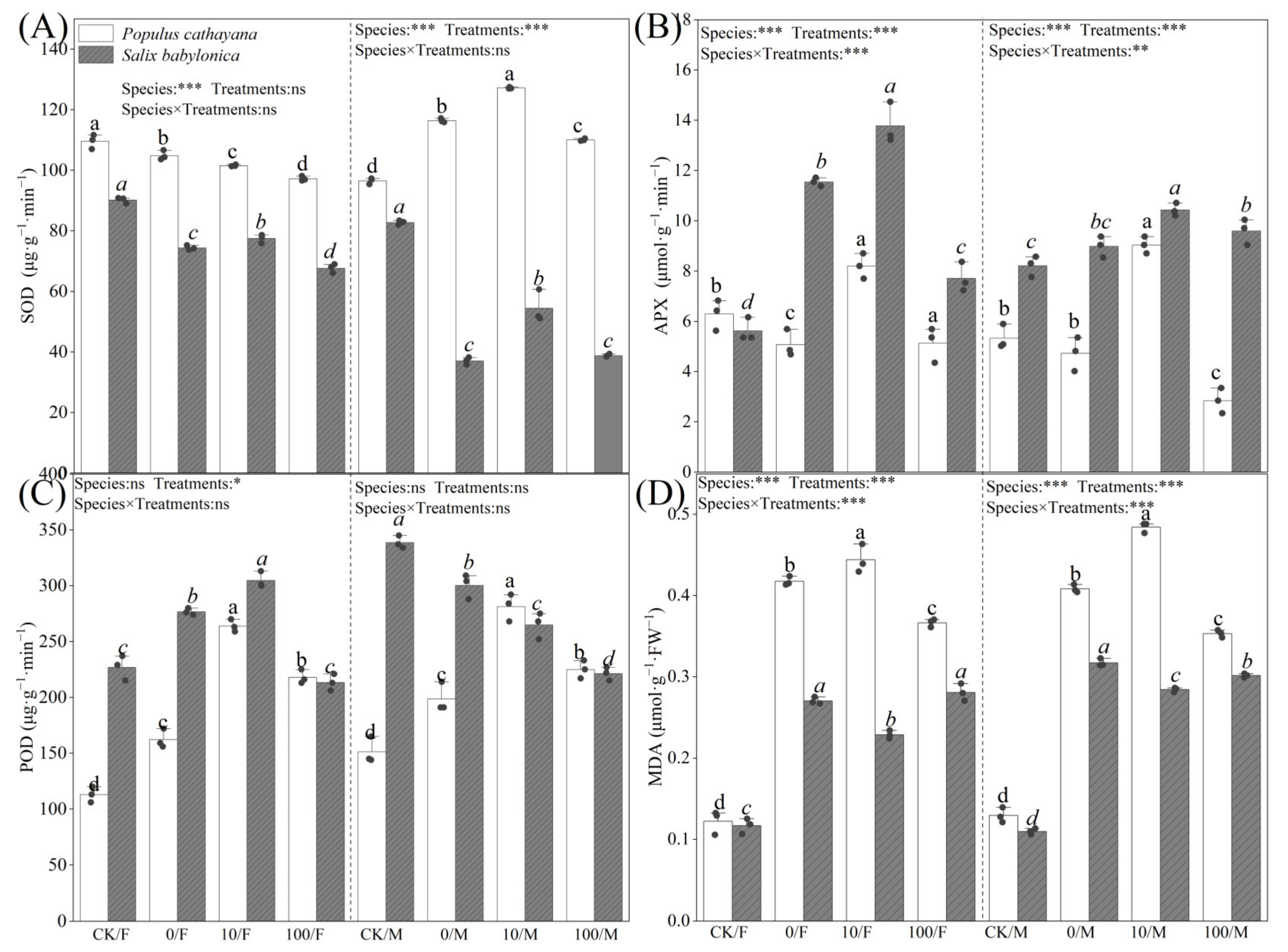 Plants 13 03598 g002