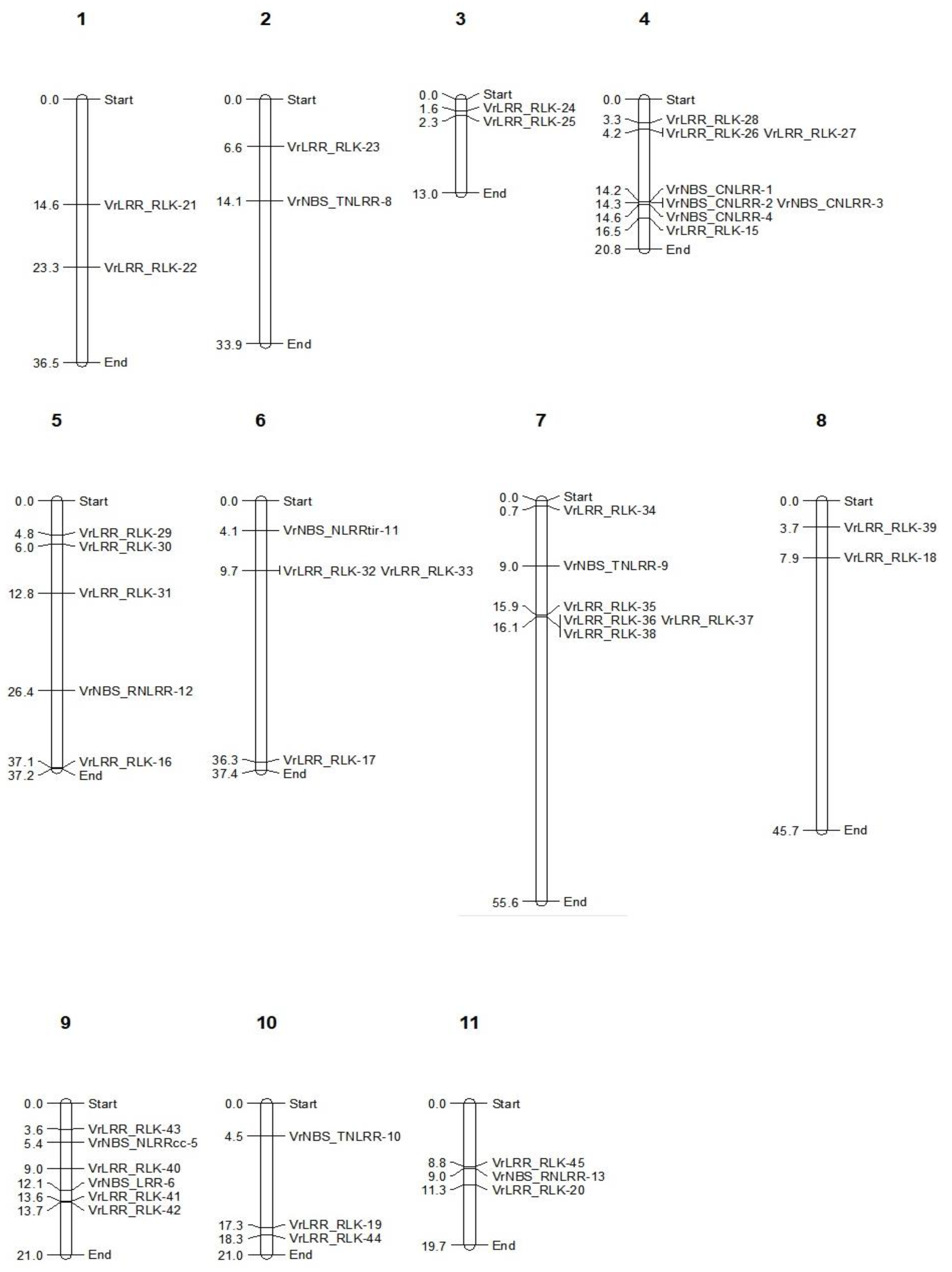 Plants 13 03601 g001