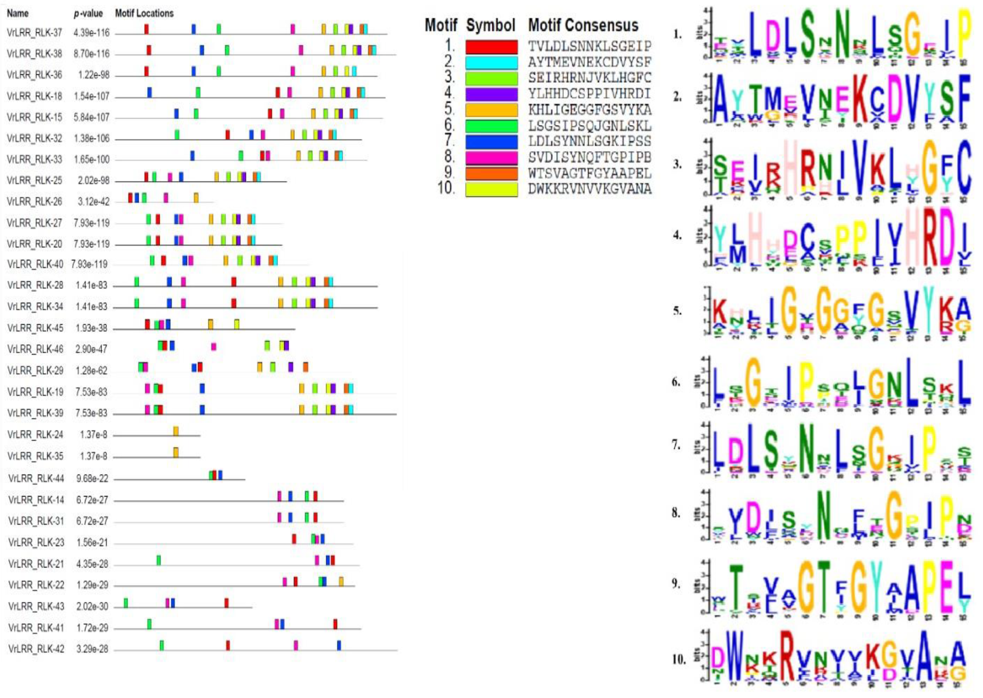 Plants 13 03601 g004a