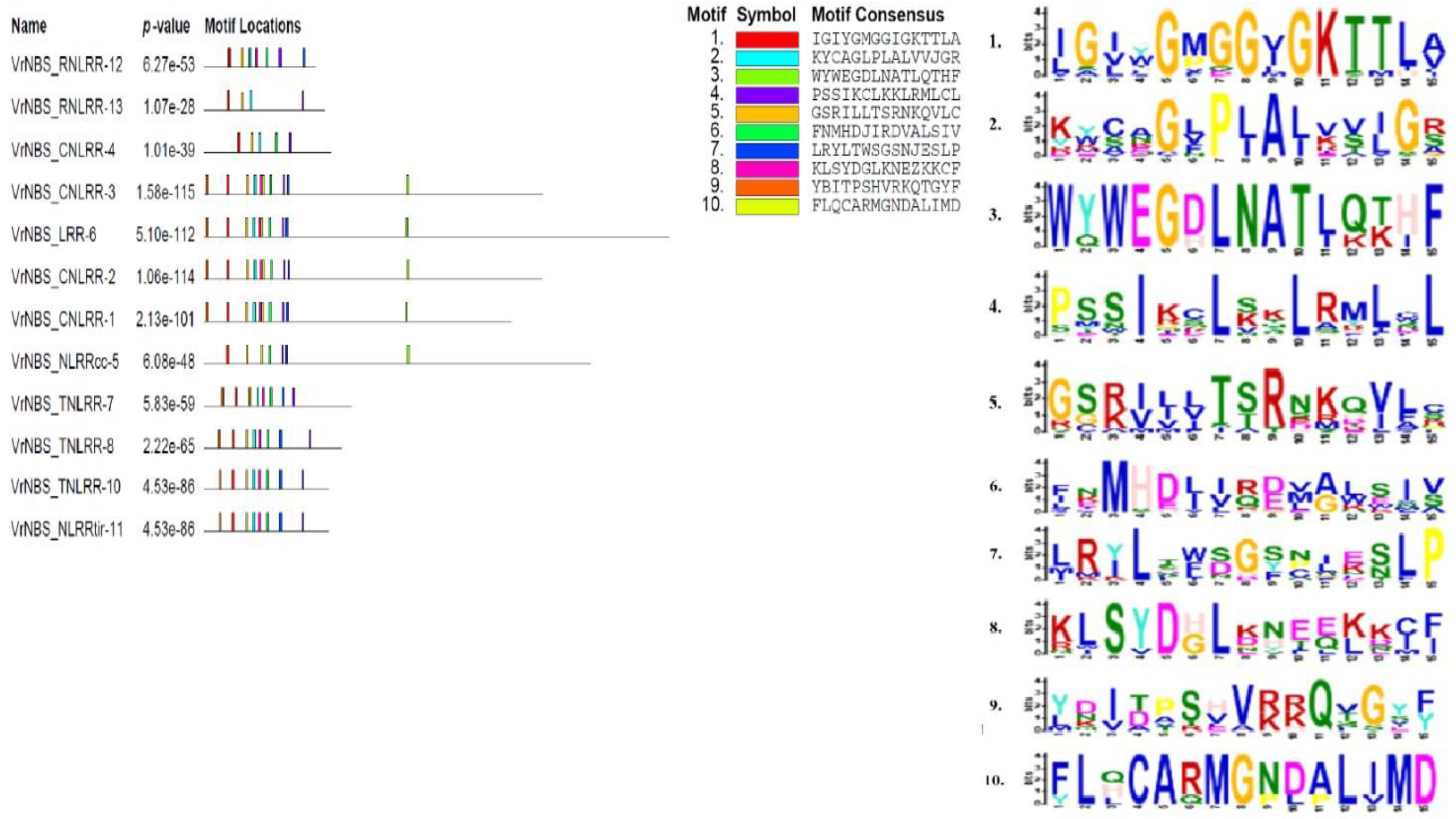 Plants 13 03601 g004b