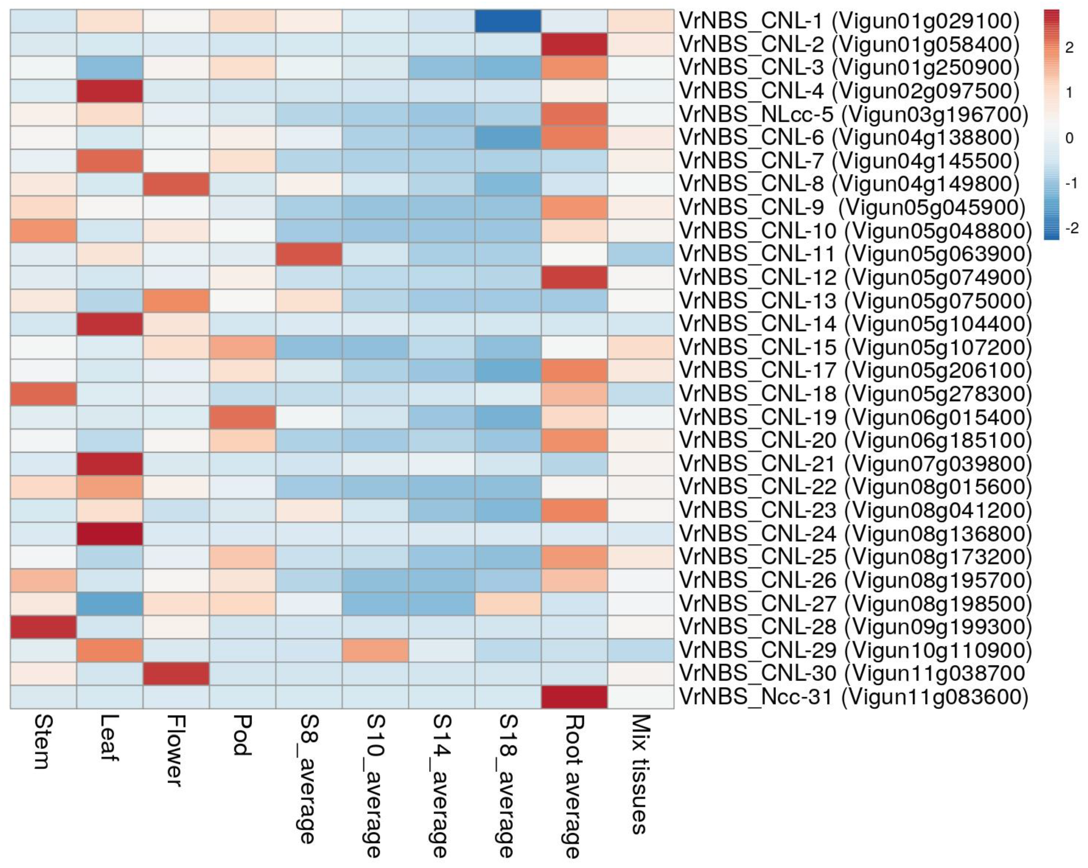 Plants 13 03601 g005