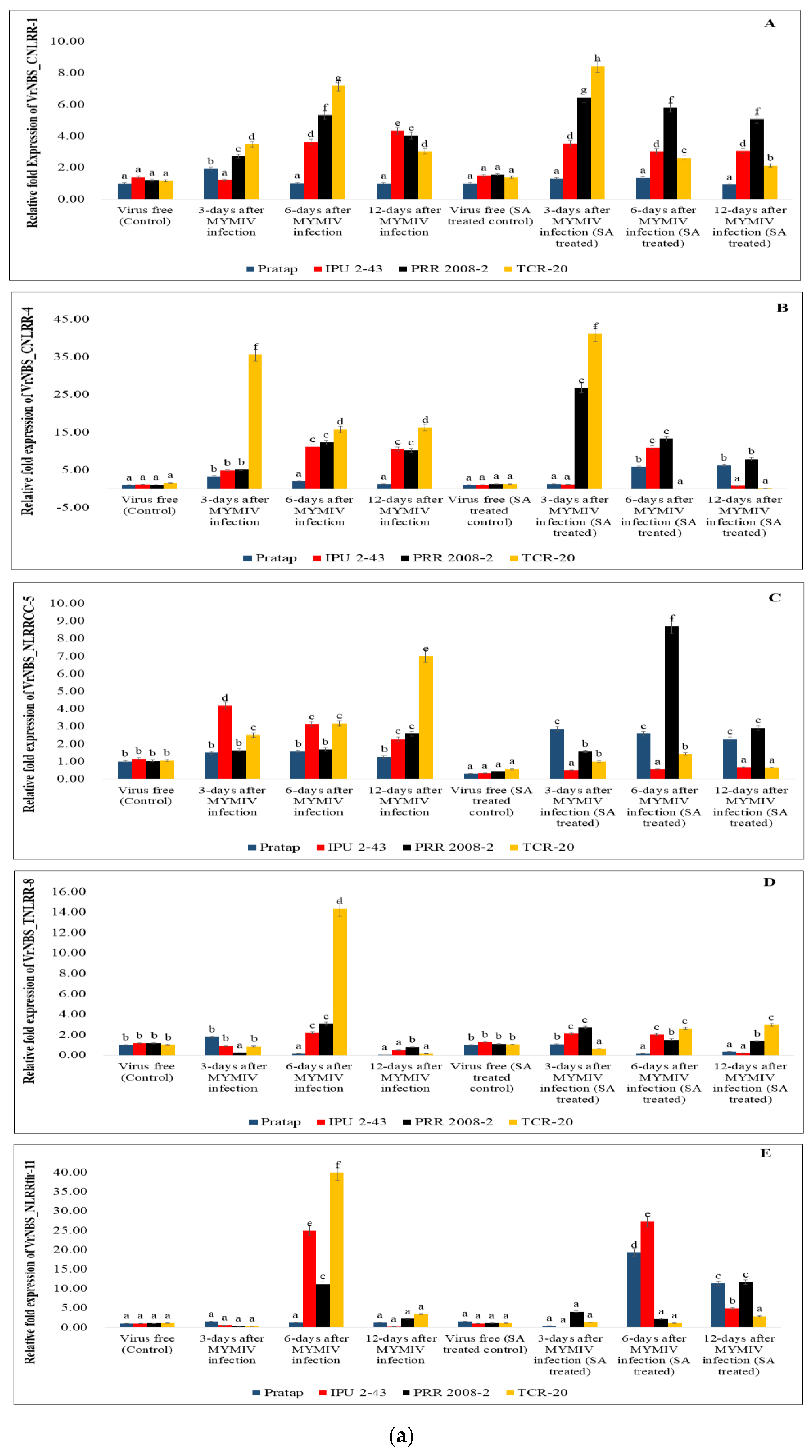 Plants 13 03601 g006a