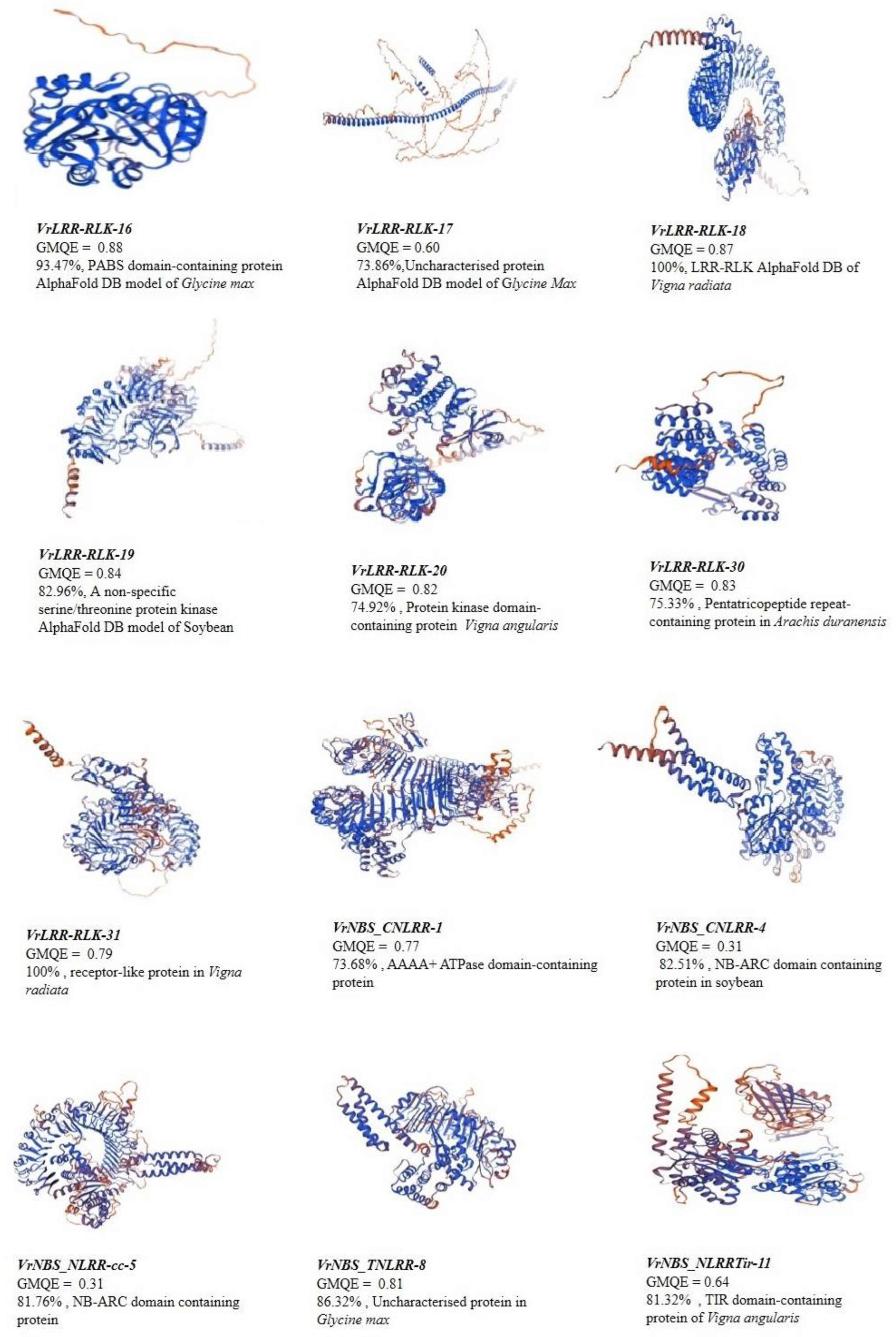 Plants 13 03601 g007