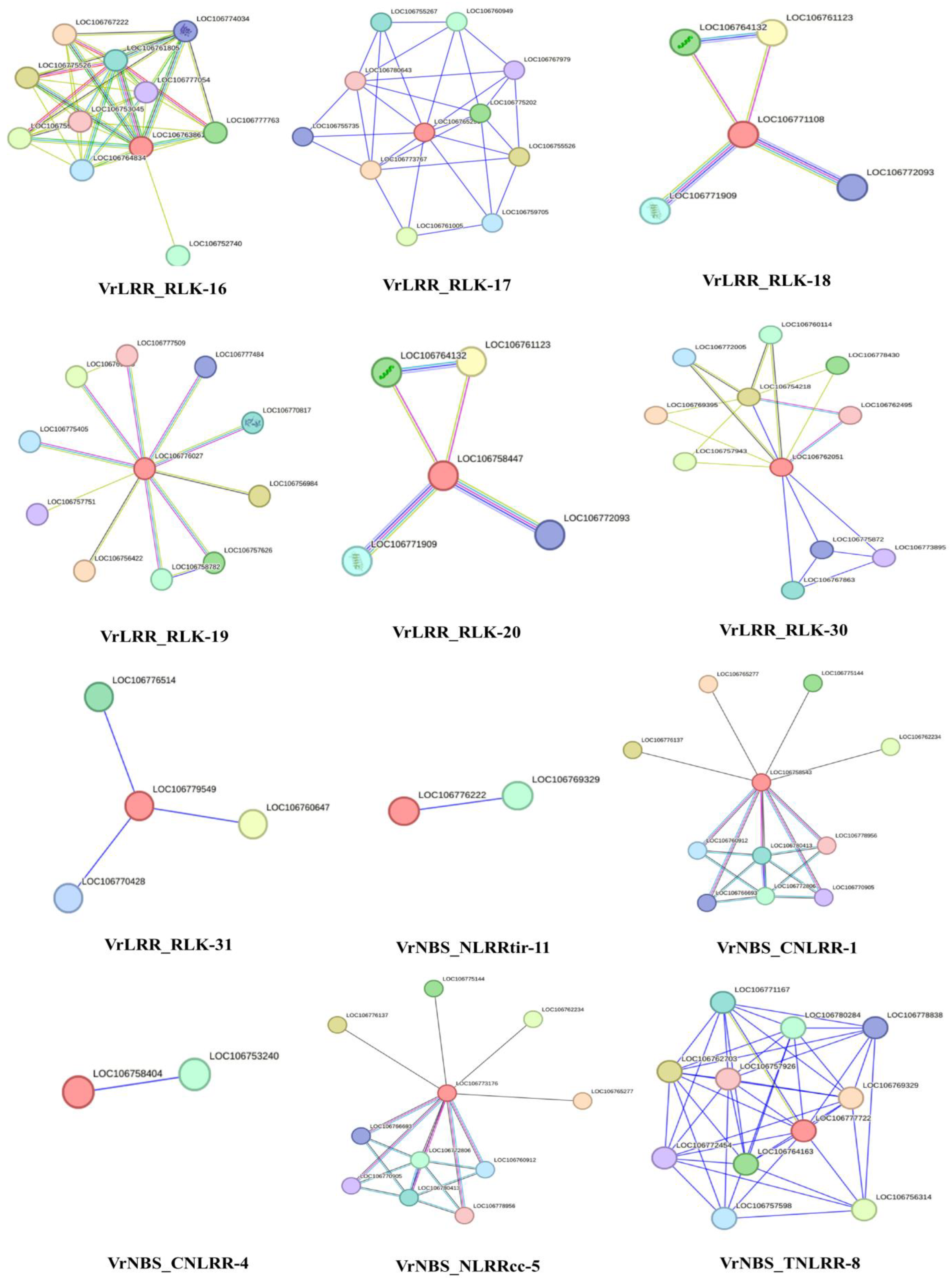 Plants 13 03601 g008