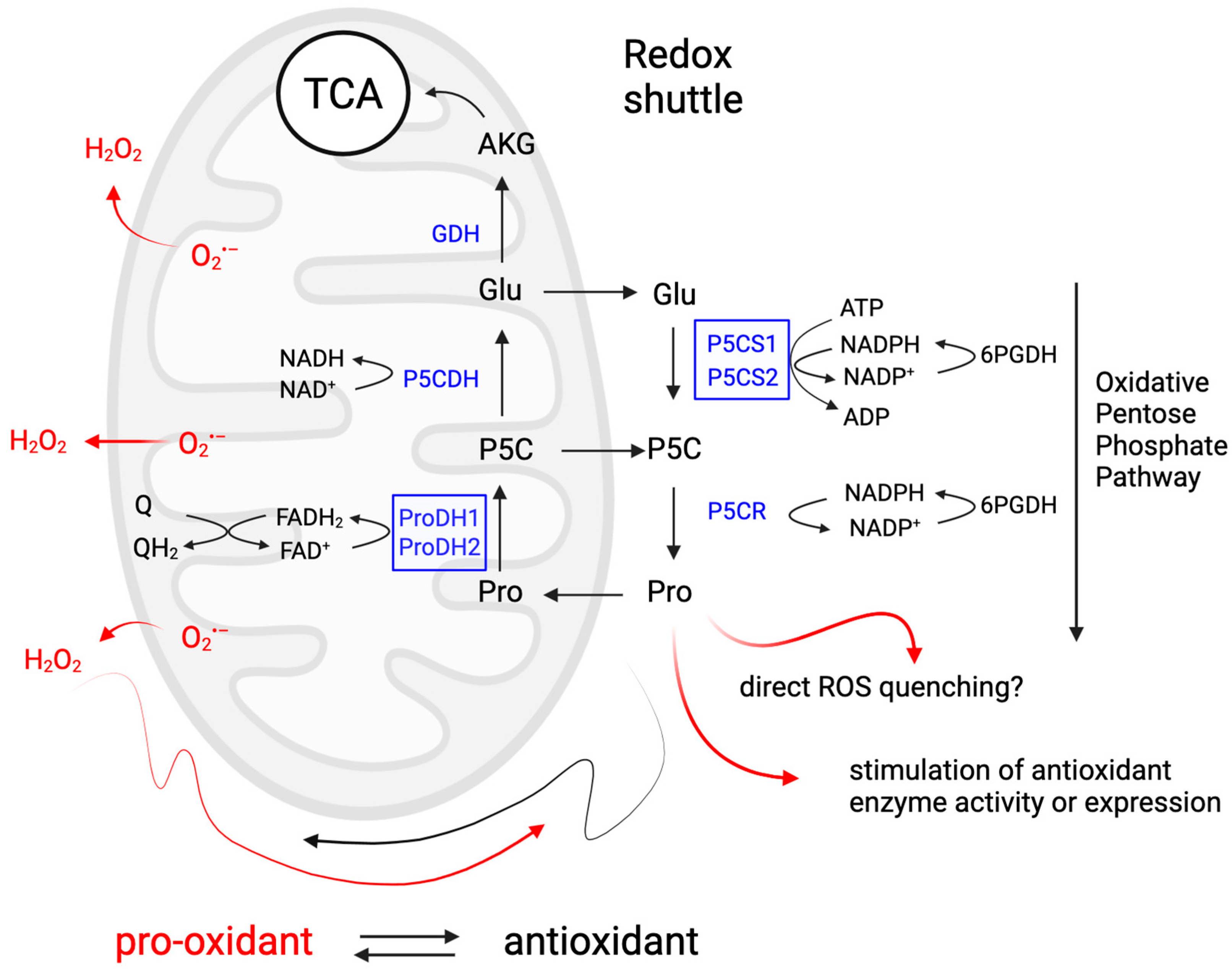 Plants 14 00002 g004