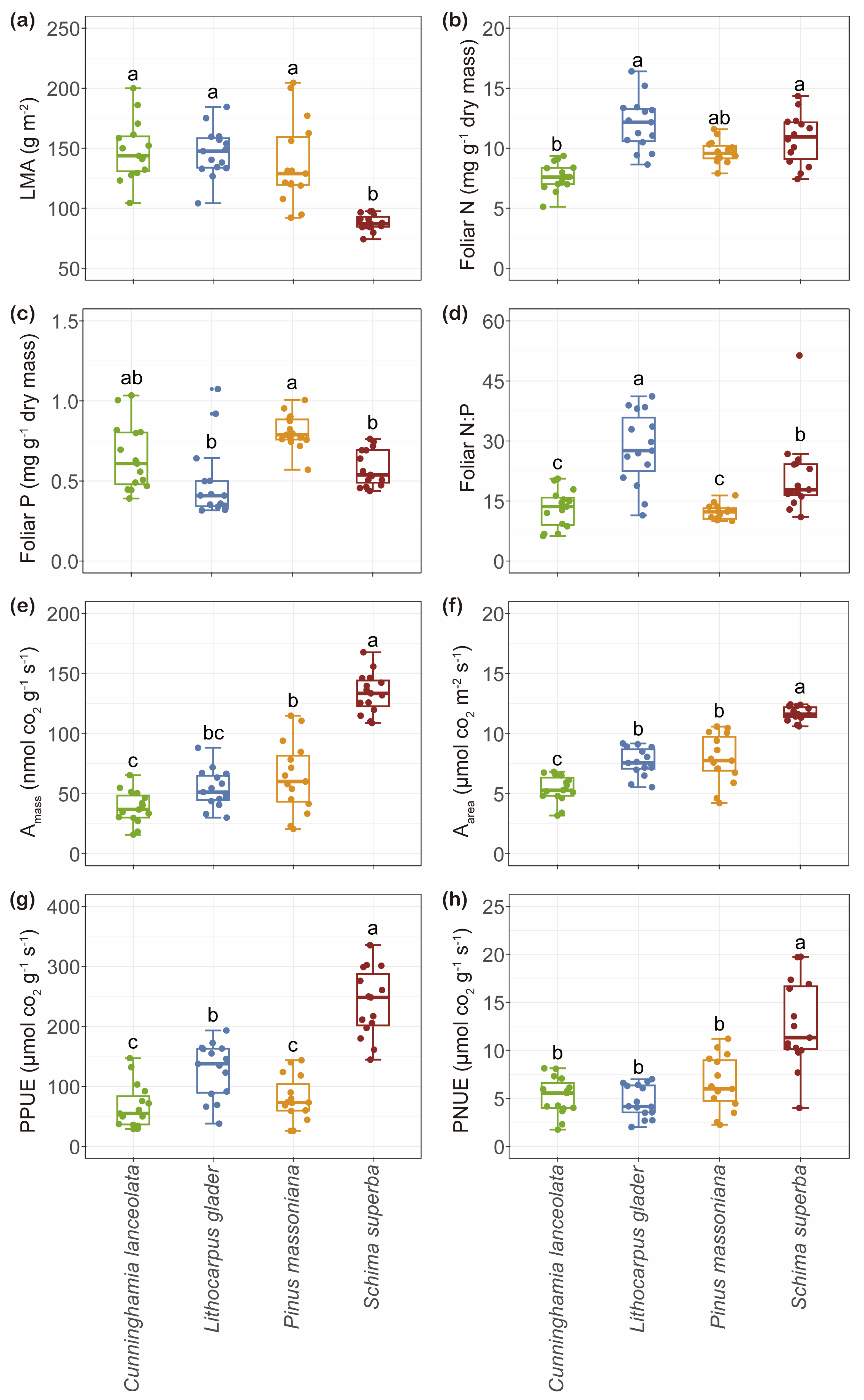 Plants 14 00004 g001