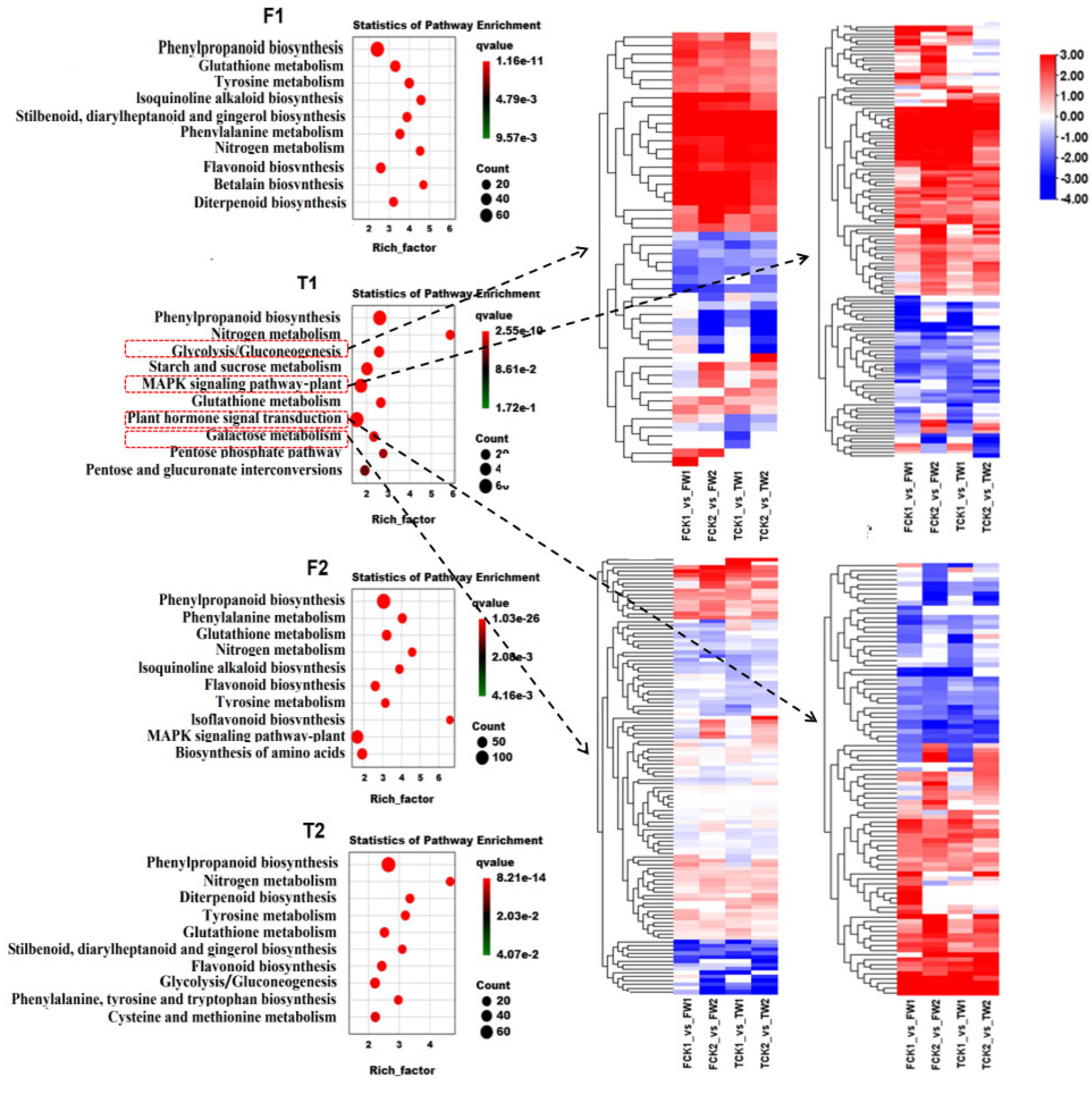Plants 14 00028 g004