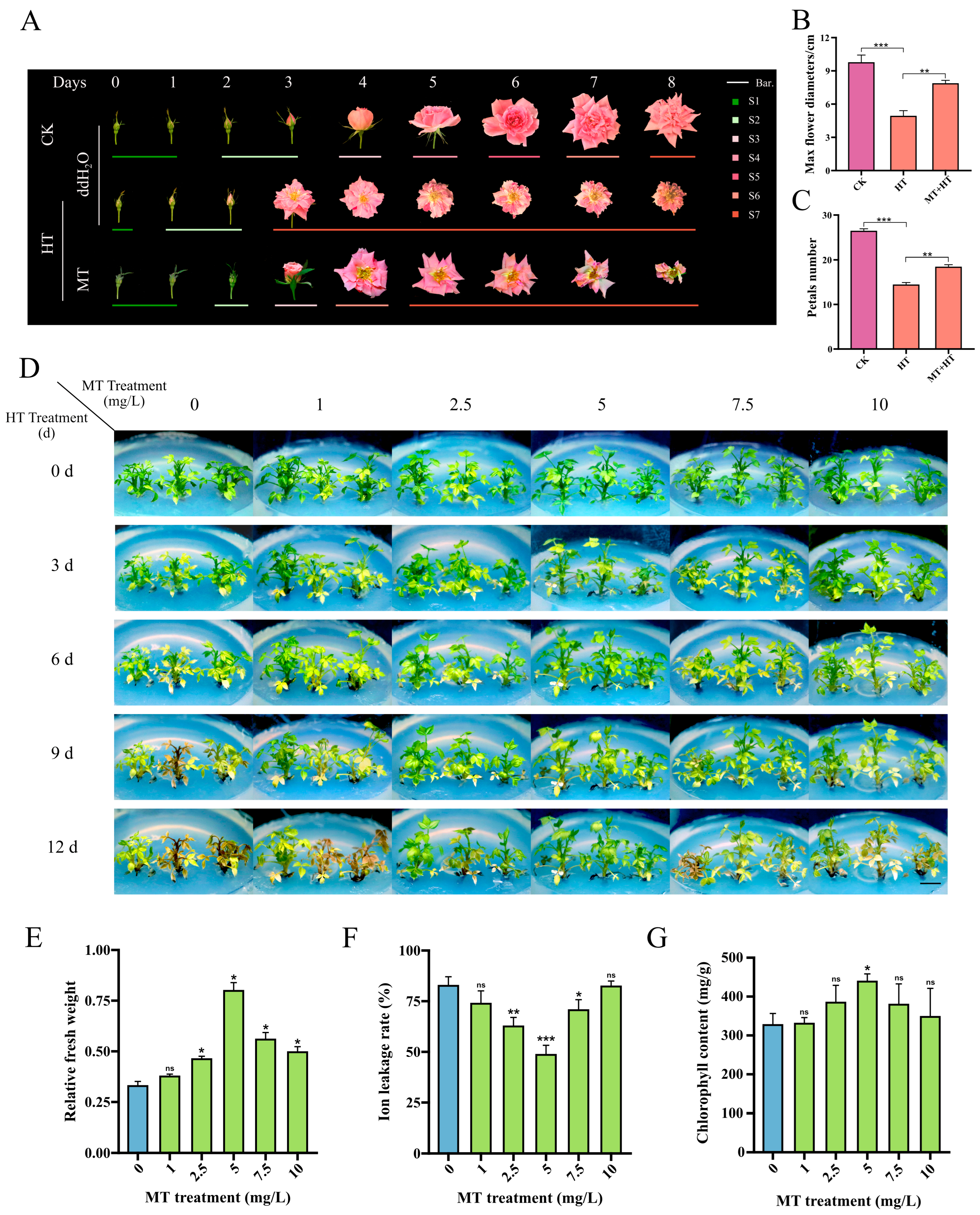 Plants 14 00029 g001