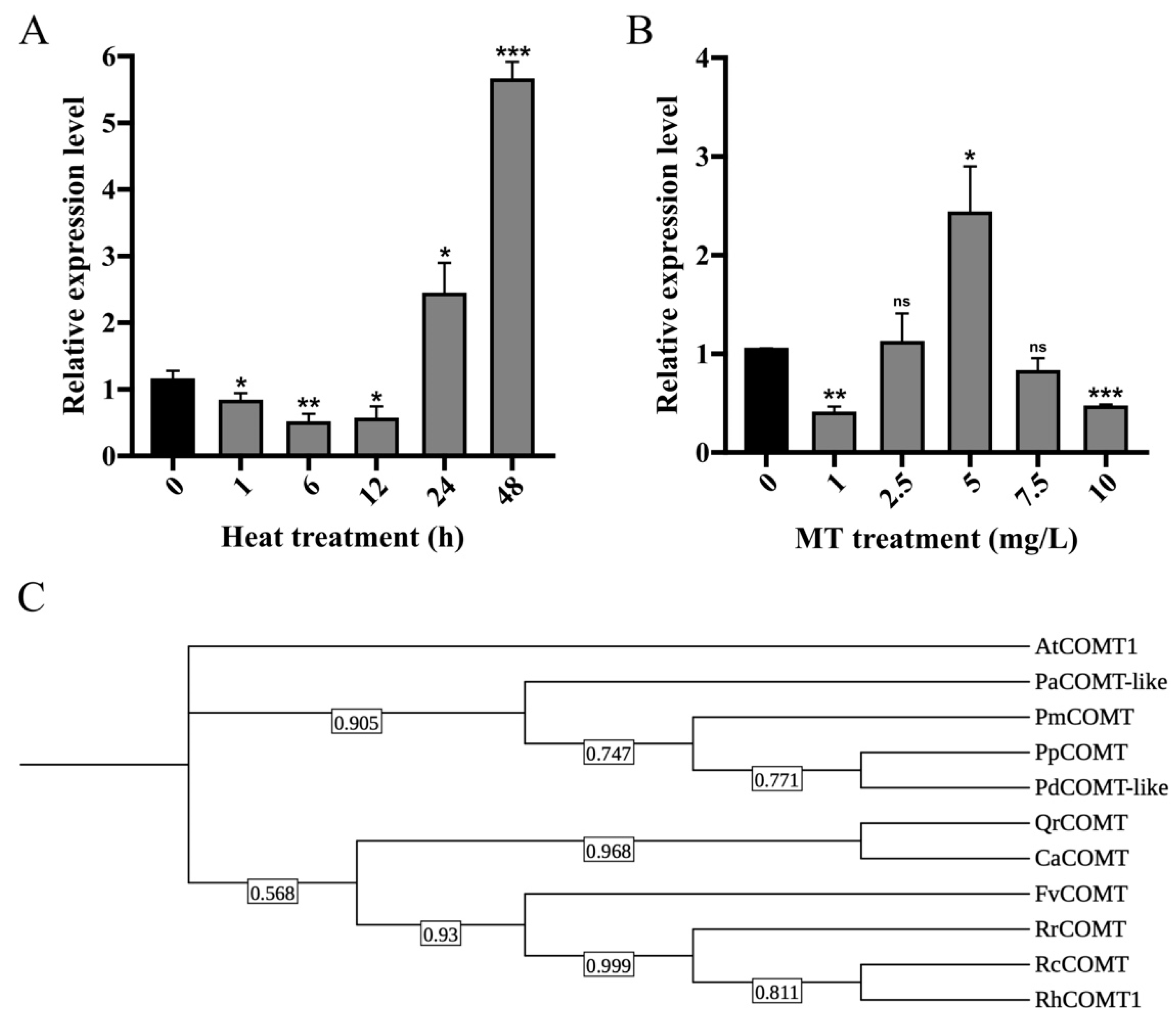 Plants 14 00029 g002