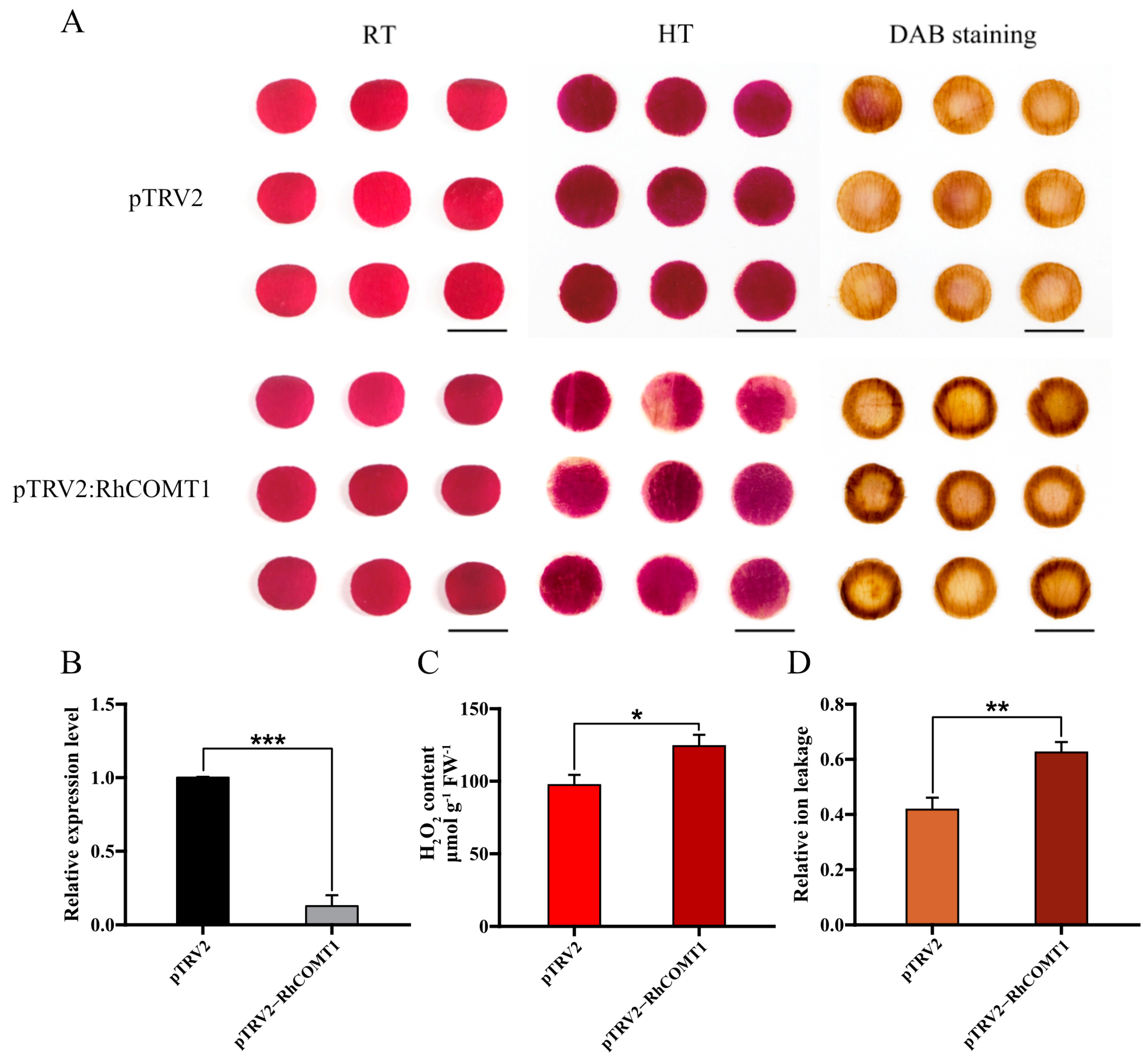 Plants 14 00029 g005