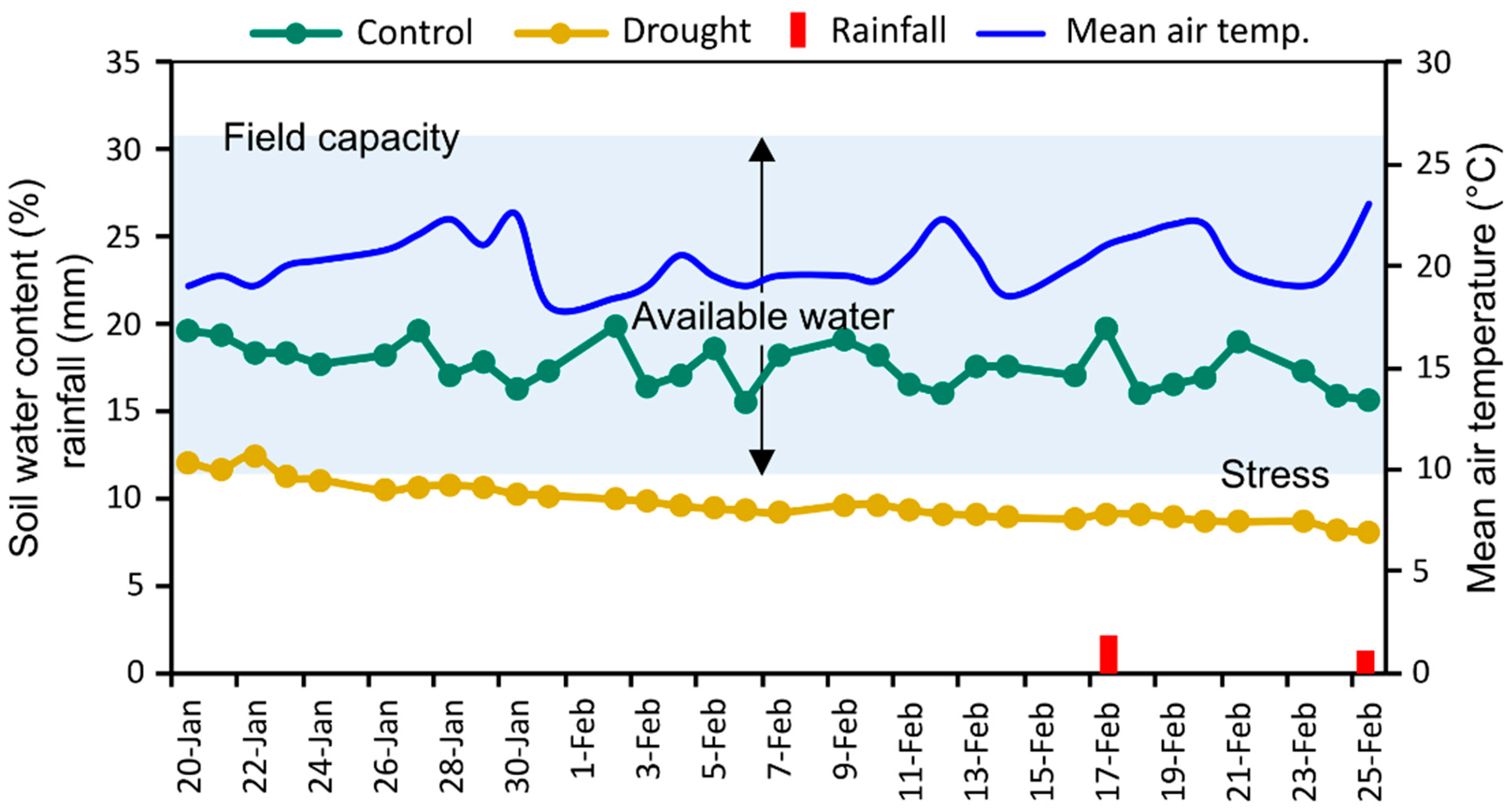 Plants 14 00035 g001