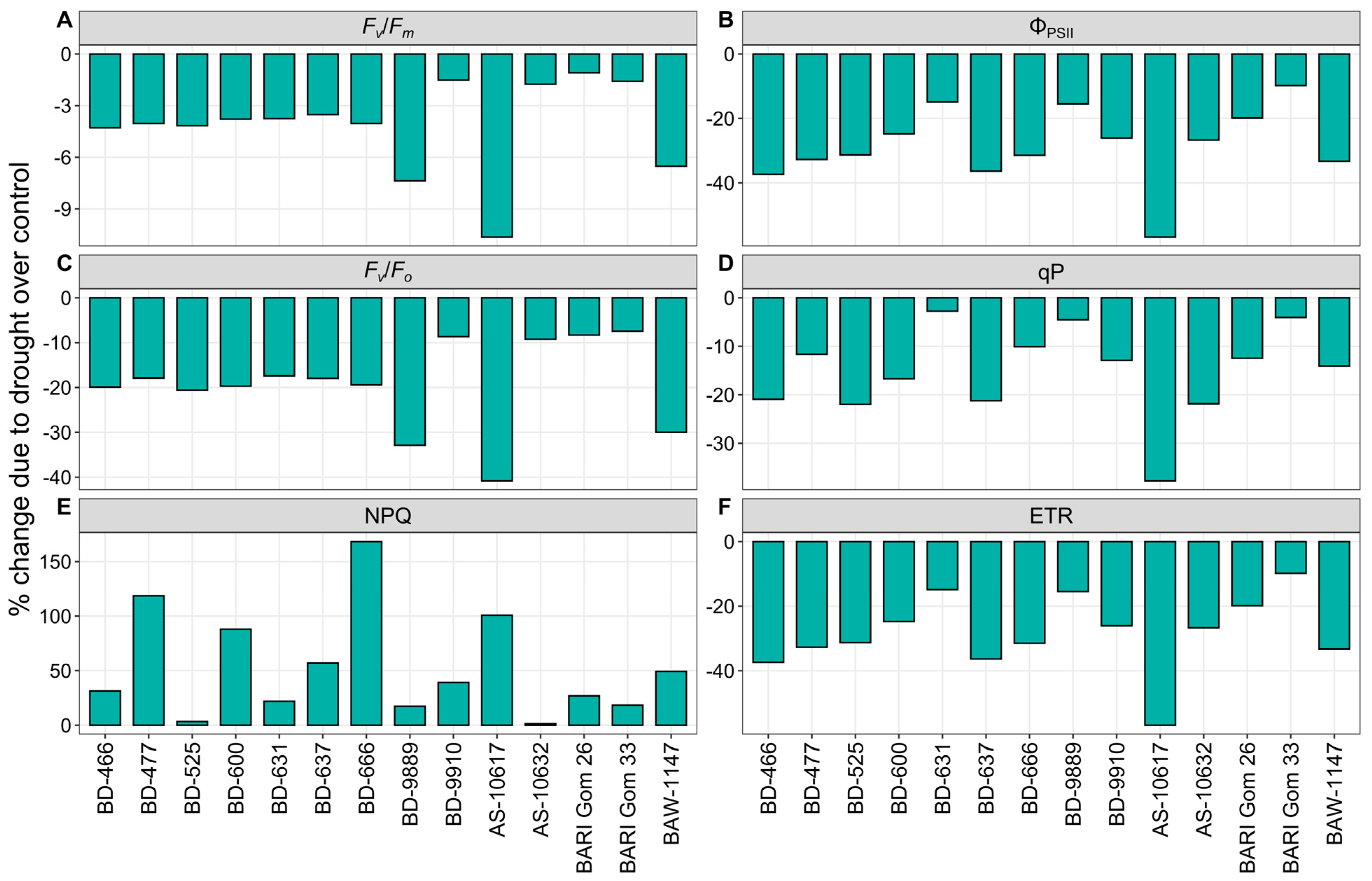 Plants 14 00035 g004