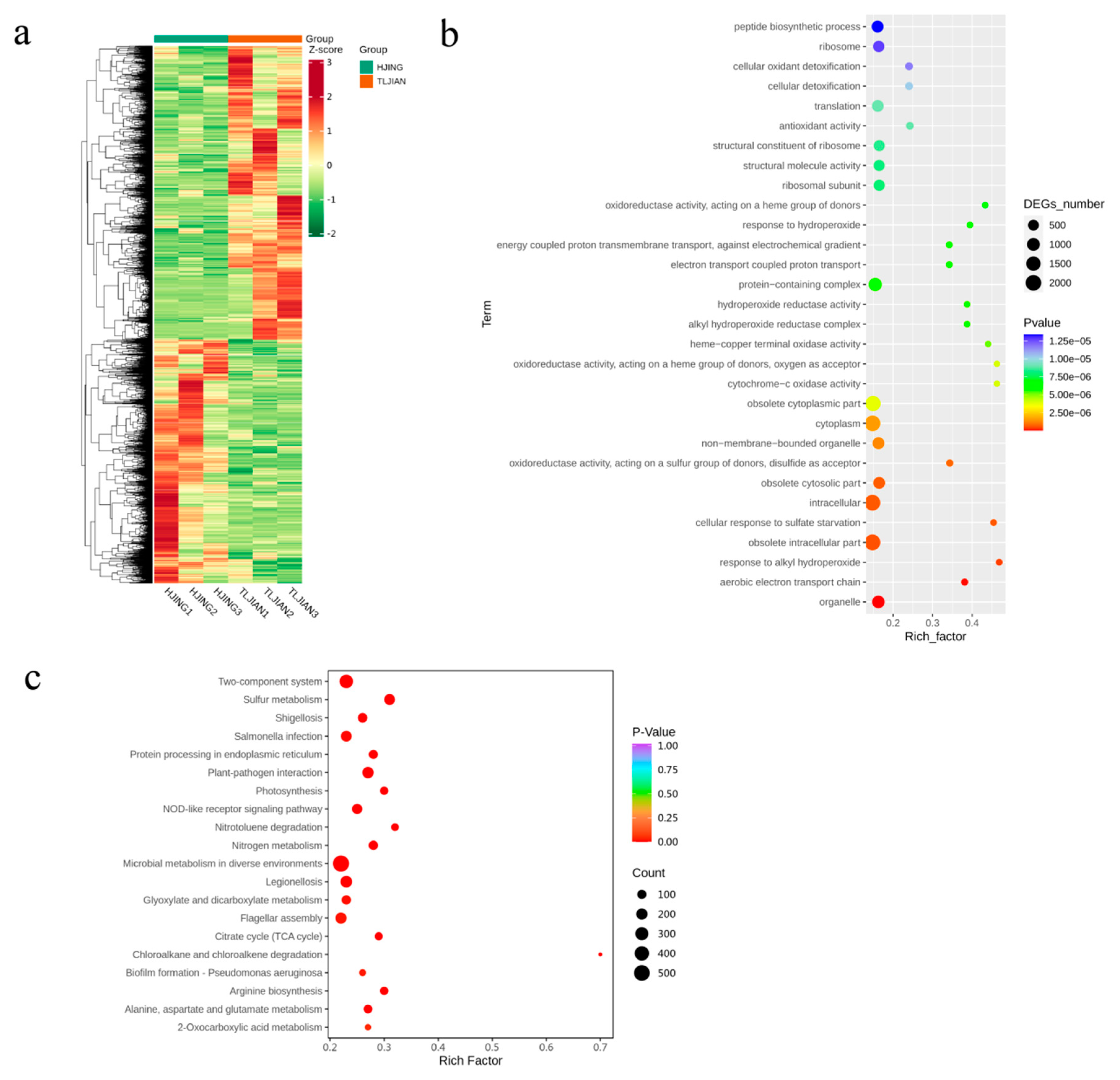 Plants 14 00036 g003
