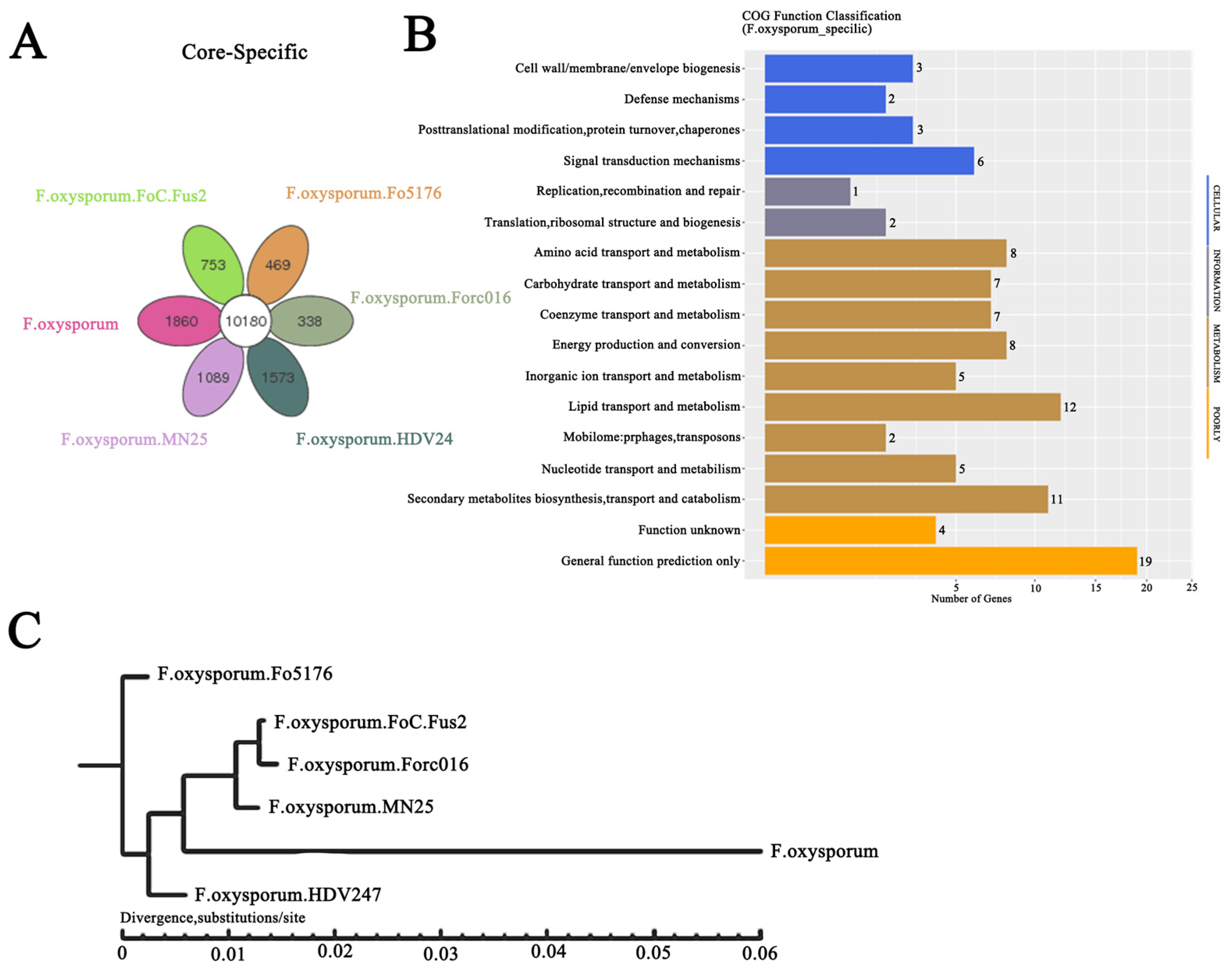 Plants 14 00038 g001