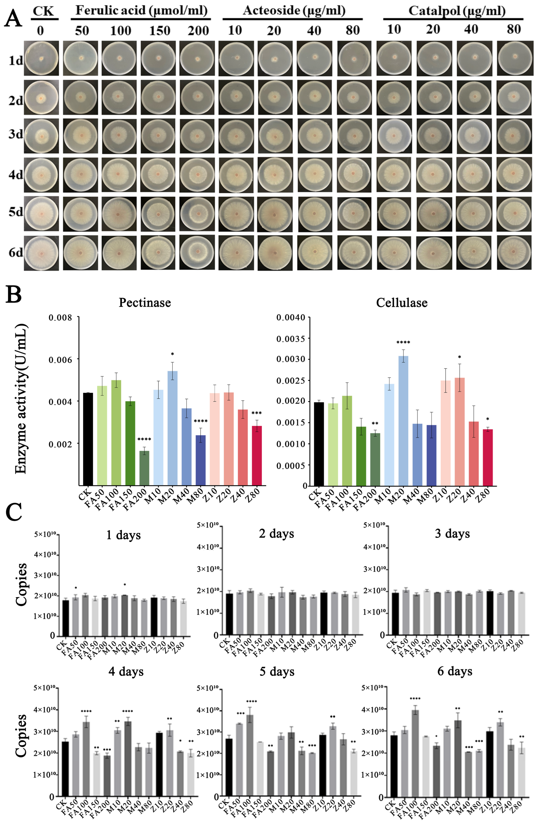Plants 14 00038 g002