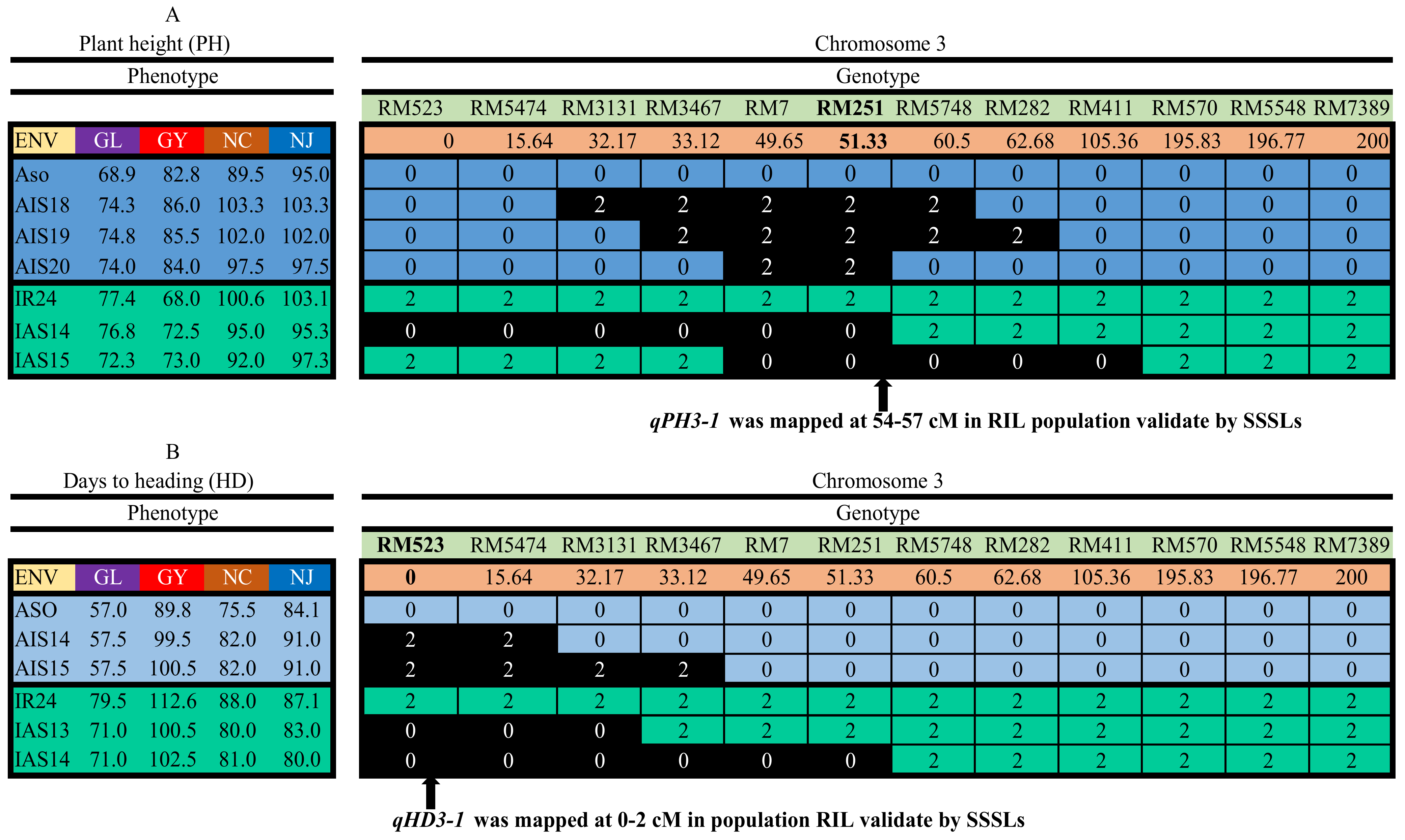 Plants 14 00043 g002