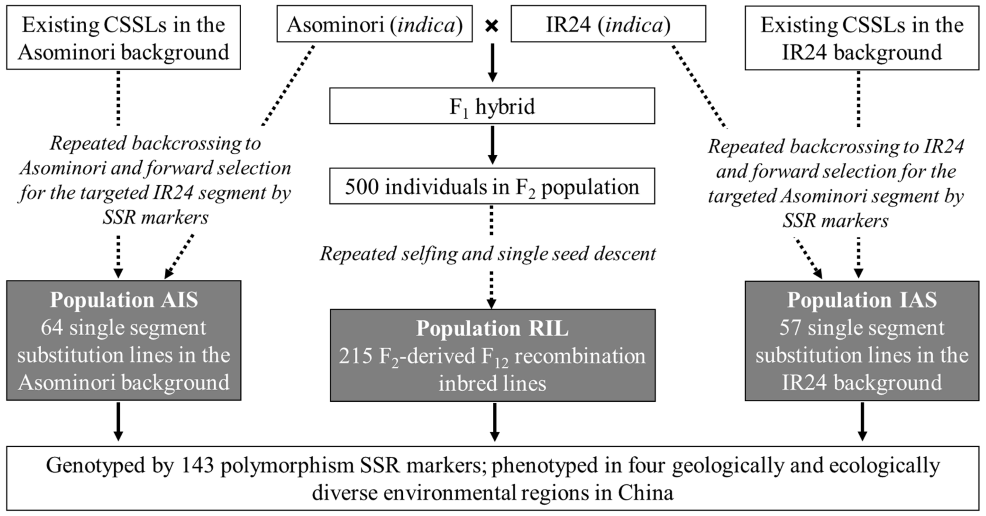 Plants 14 00043 g003