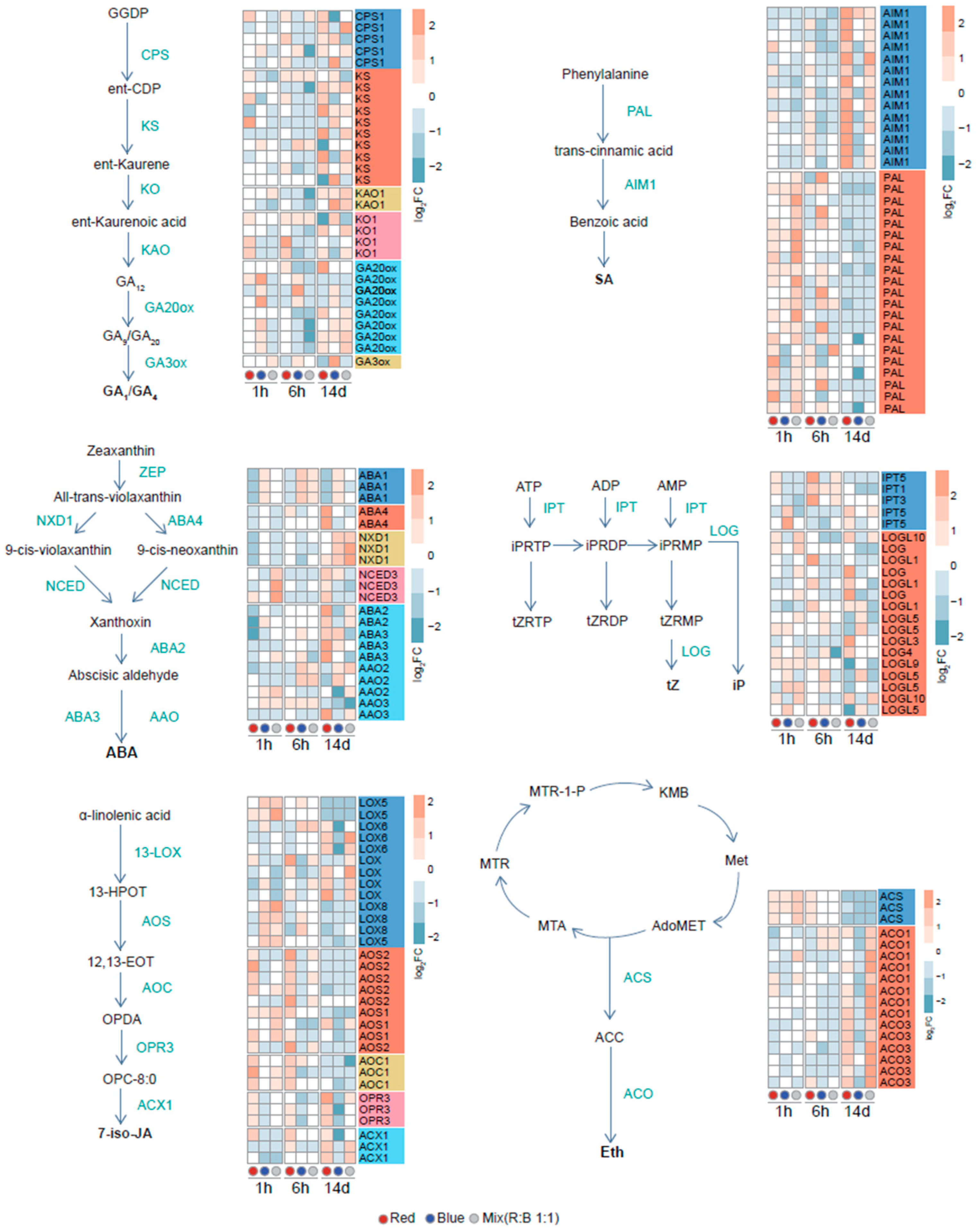 Plants 14 00046 g004 Plants 14 00046 g004