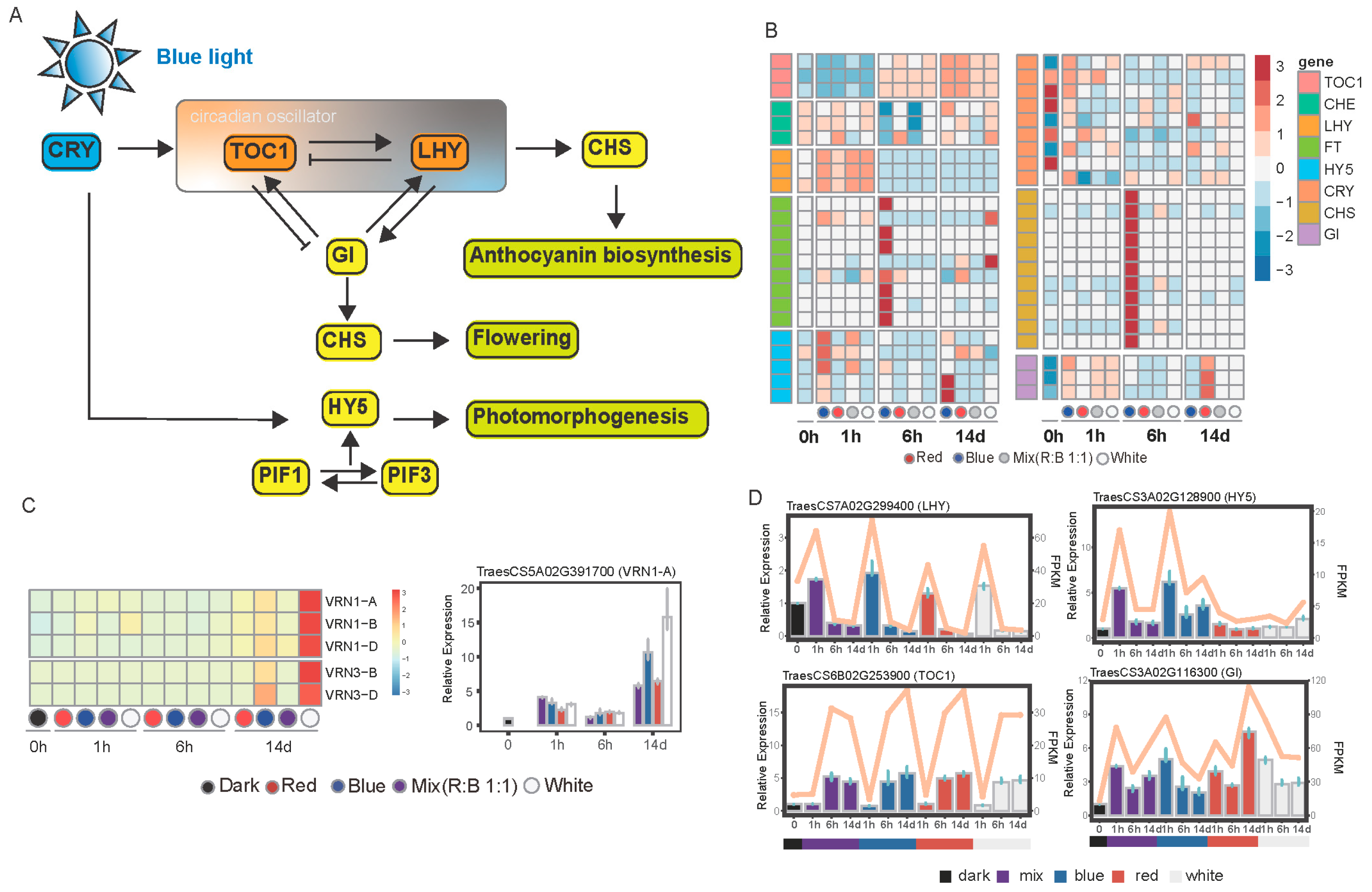 Plants 14 00046 g006 Plants 14 00046 g006