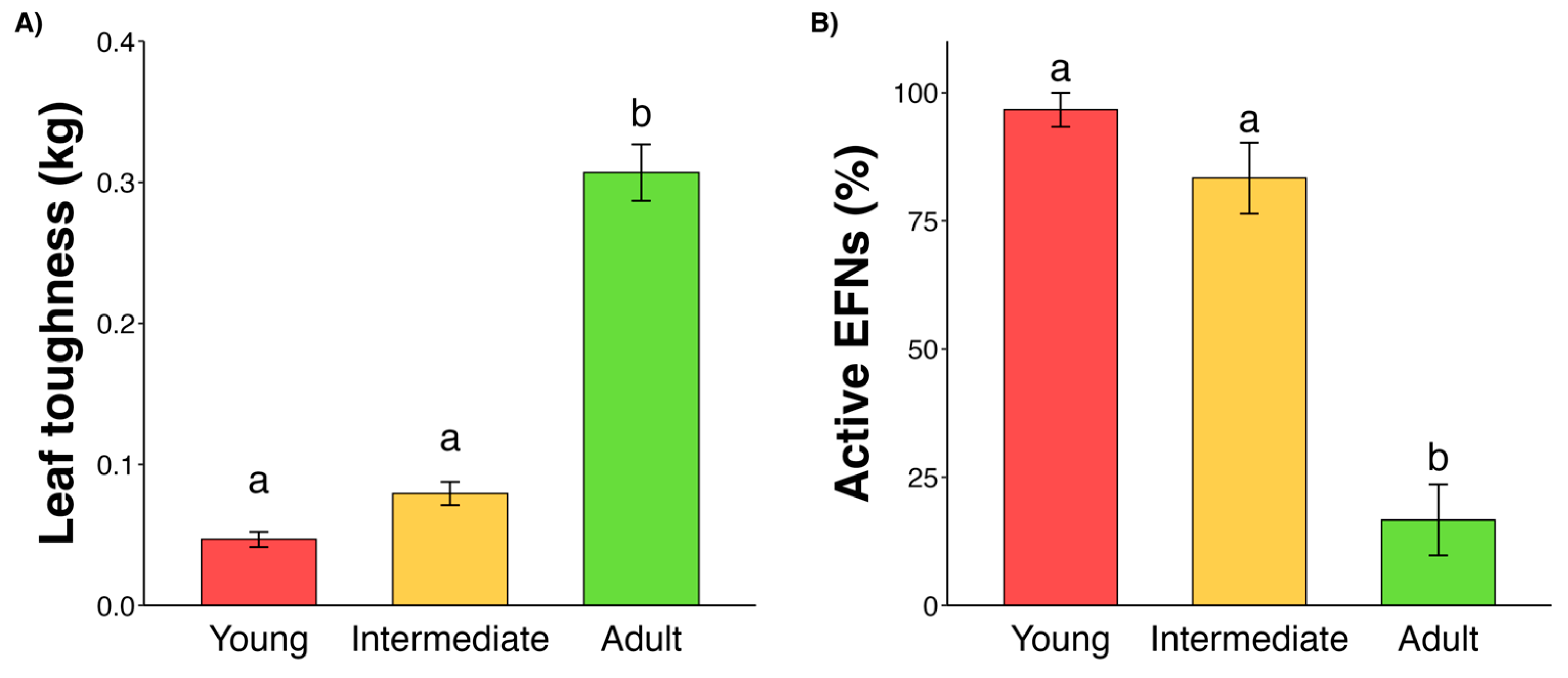 Plants 14 00049 g001