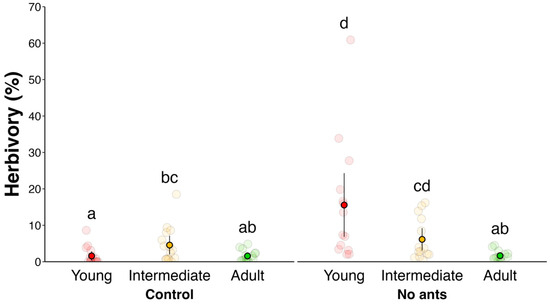 Plants 14 00049 g002