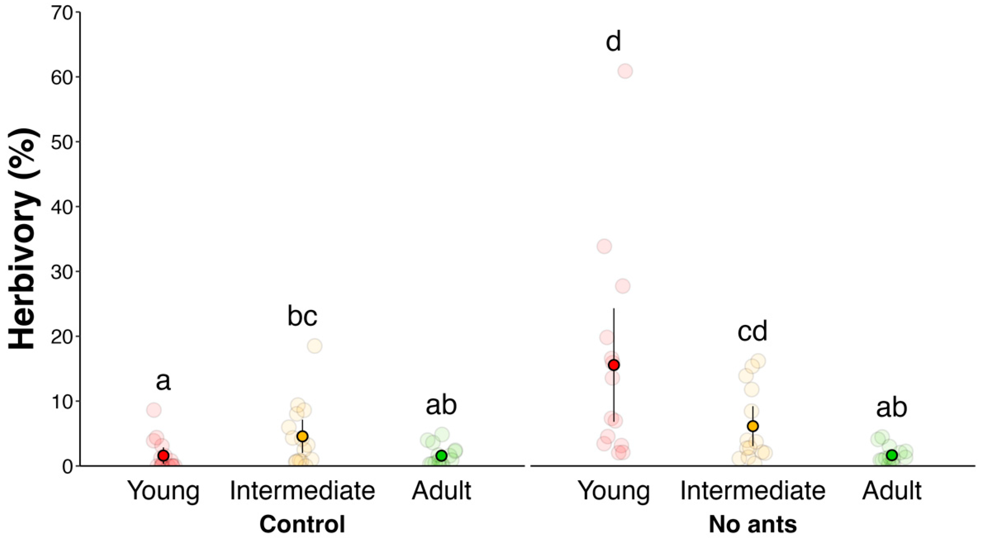 Plants 14 00049 g002