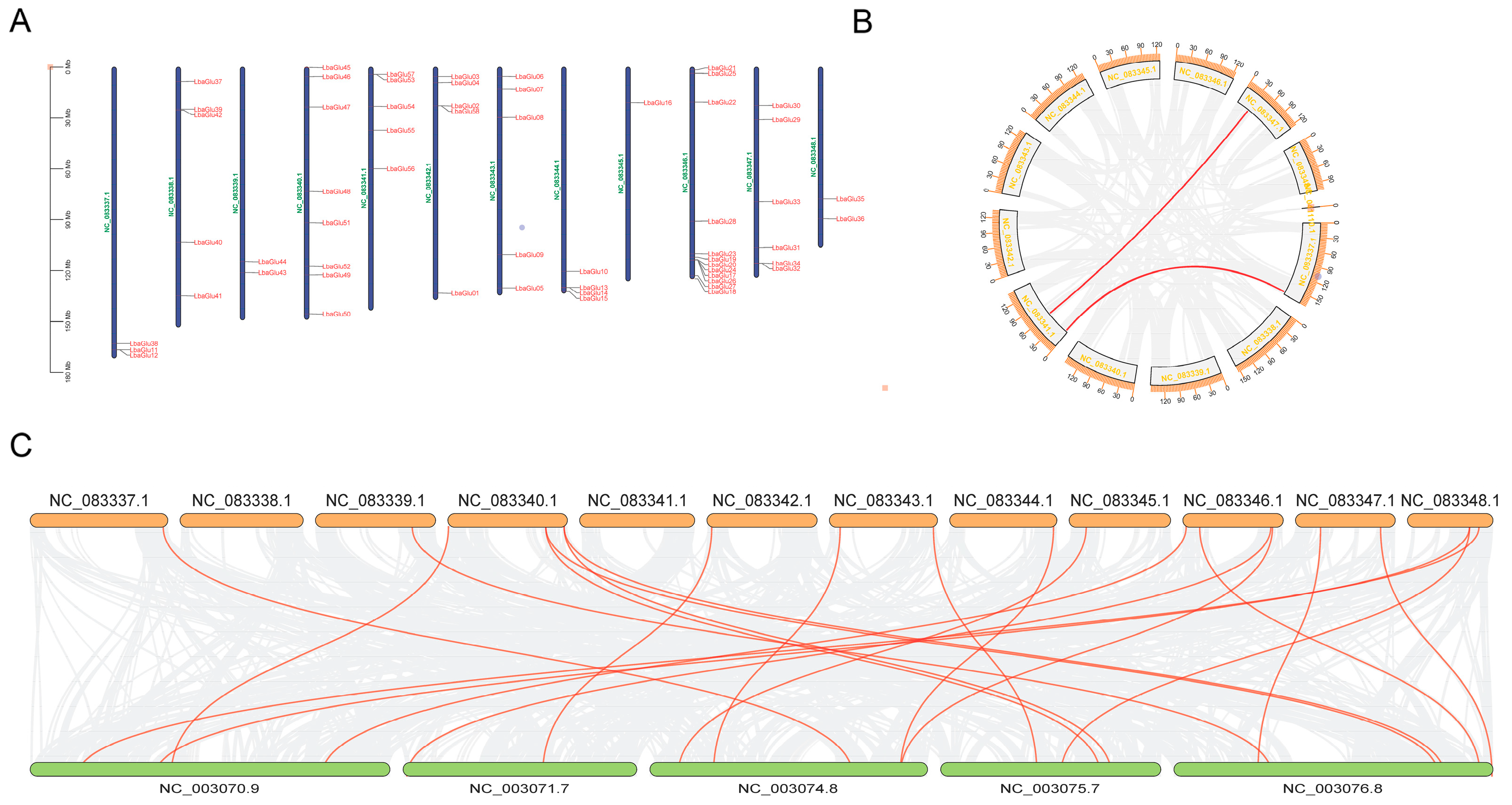 Plants 14 00052 g001