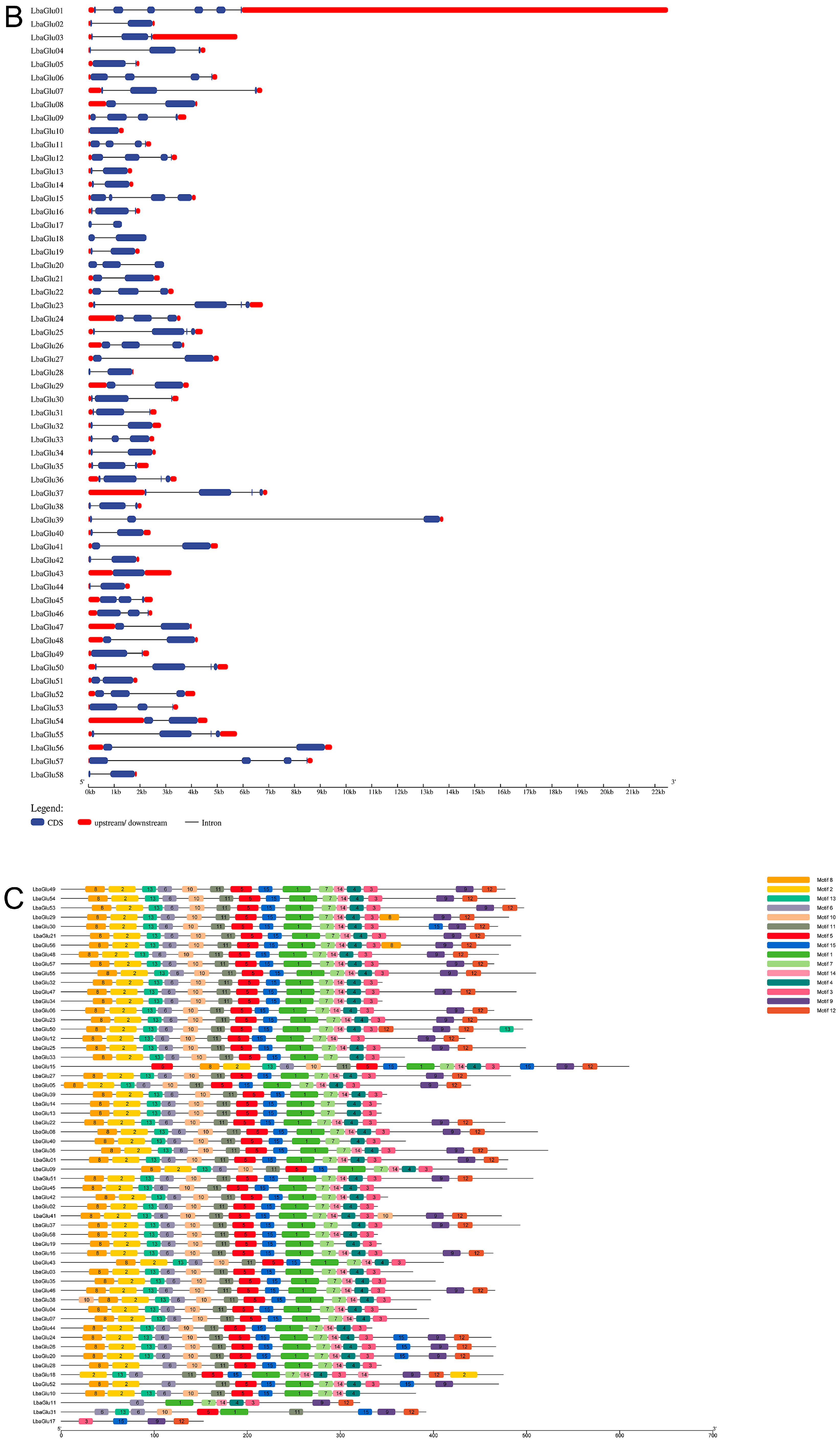 Plants 14 00052 g002b