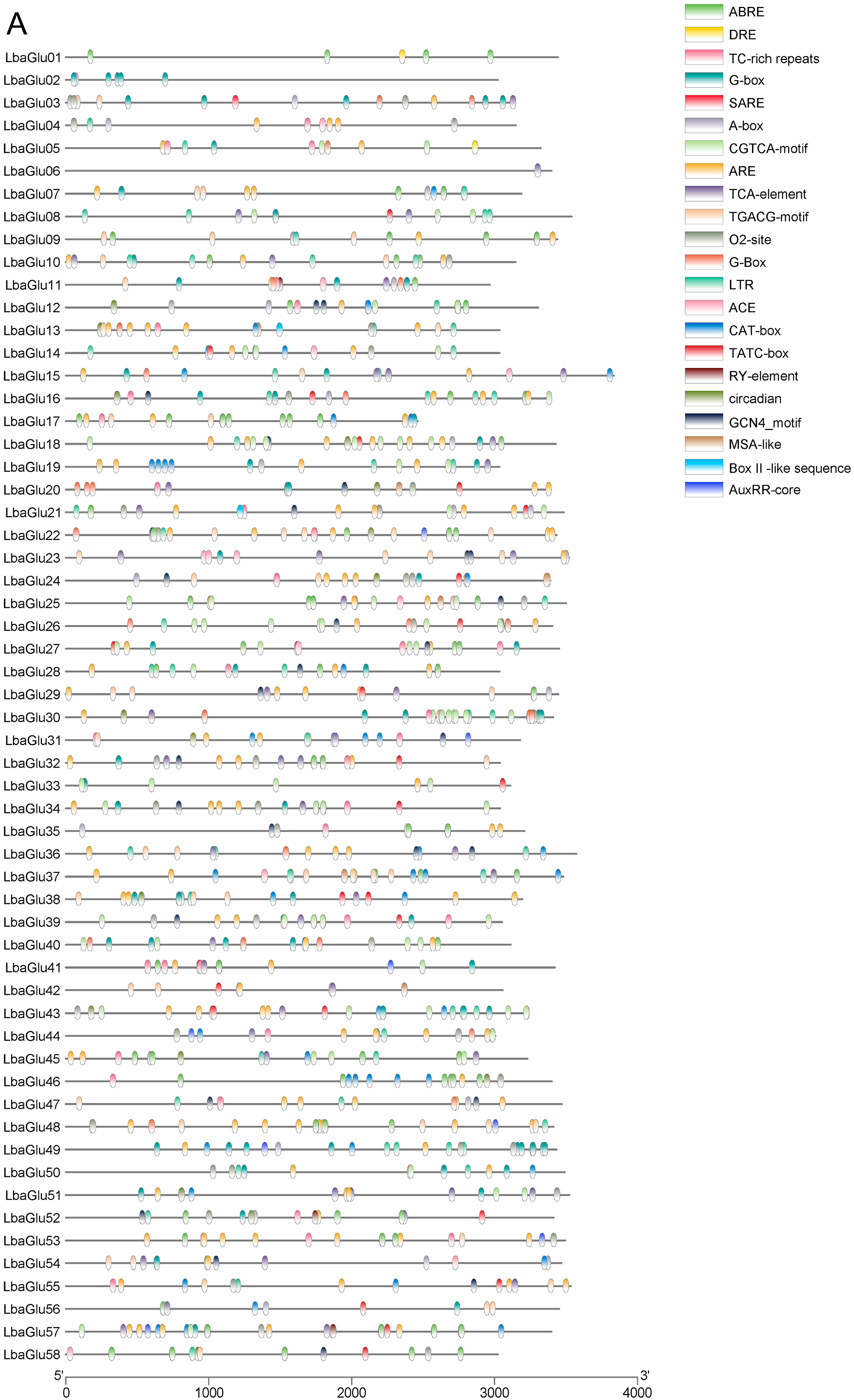 Plants 14 00052 g003a