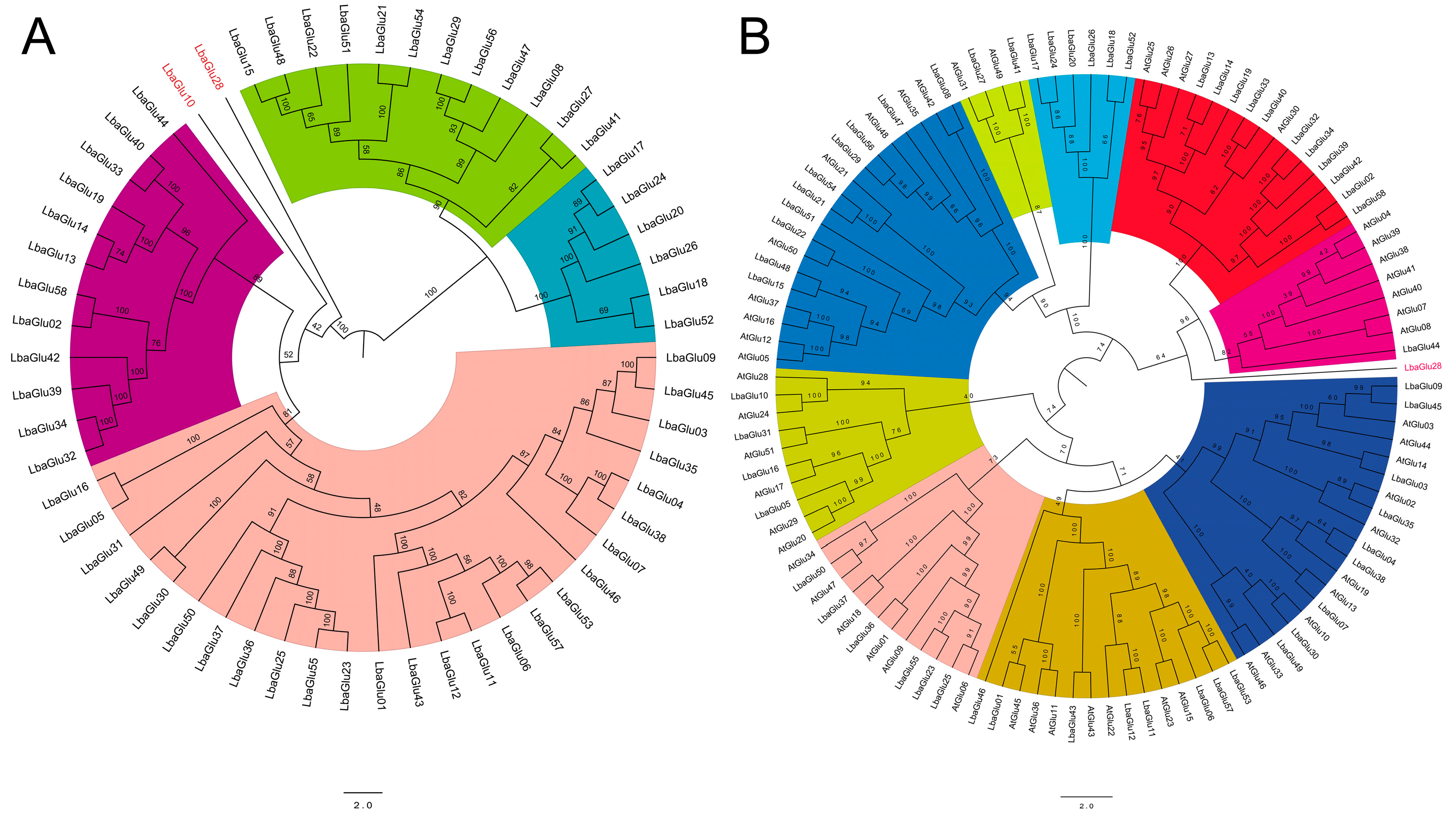 Plants 14 00052 g004